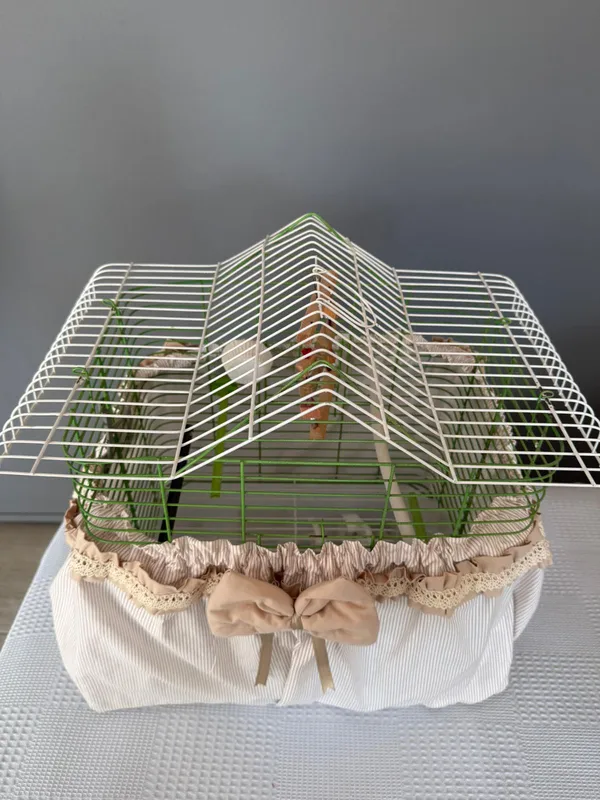 Cappuccino colored ribbon bird cage tulle