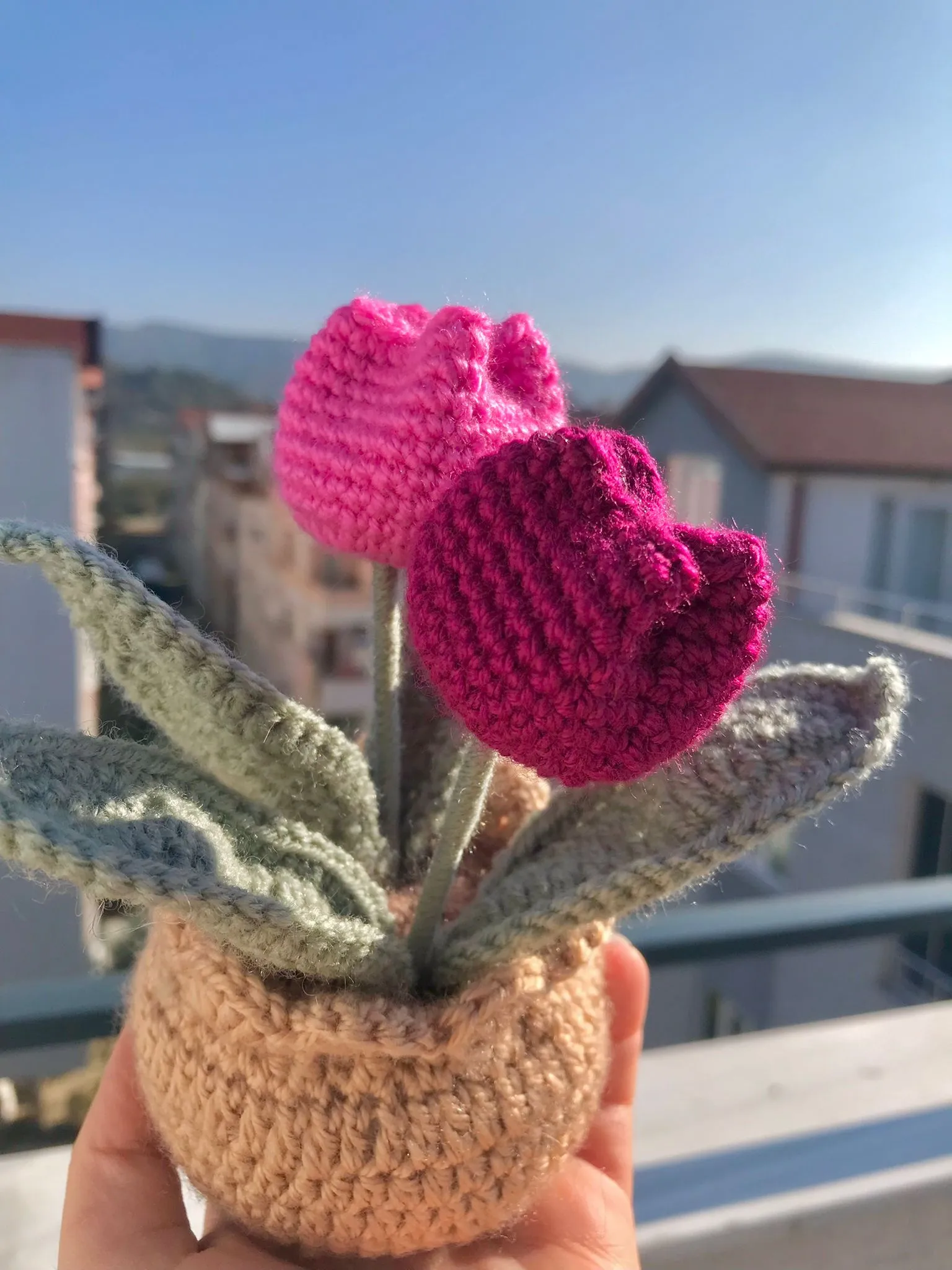 Fuşya Lale Saksı