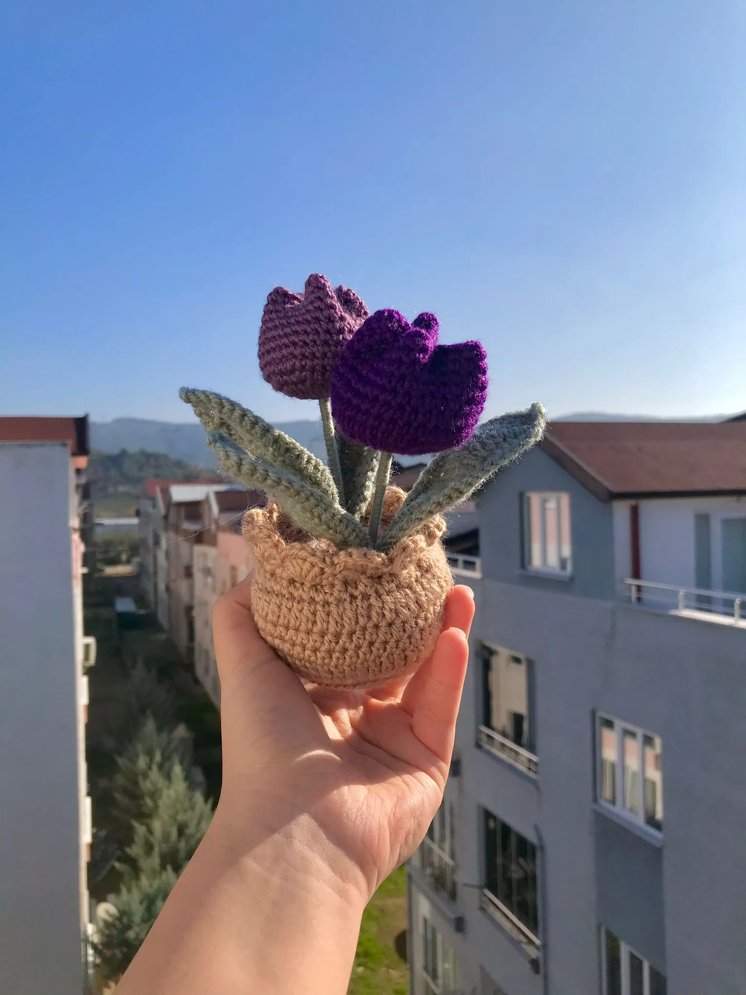 Lale Mor Saksı