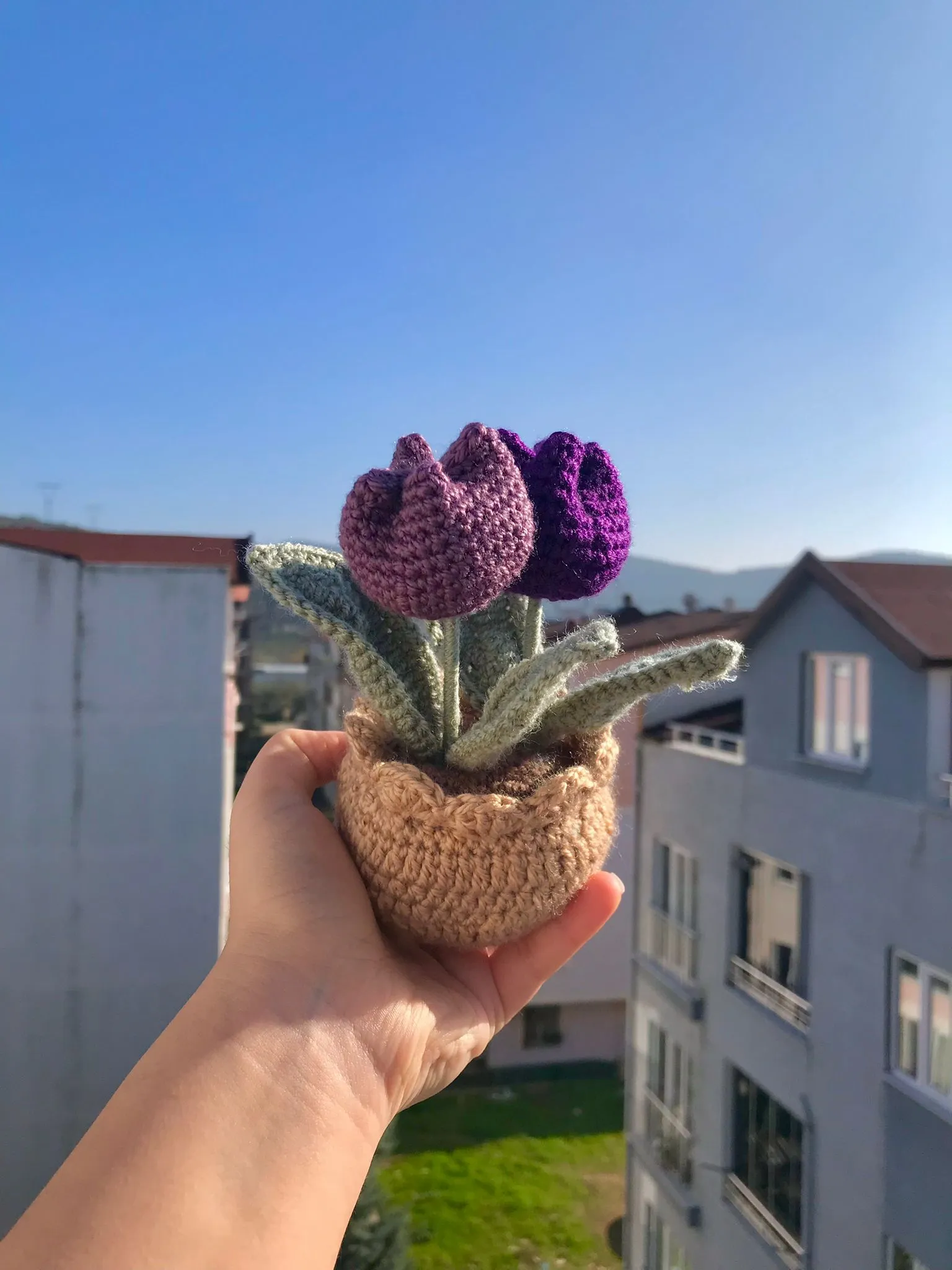 Lale Mor Saksı