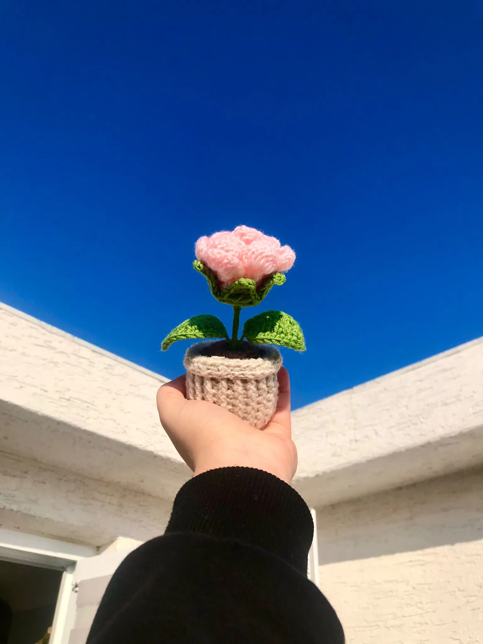 Örgü Pembe Saksı Gül