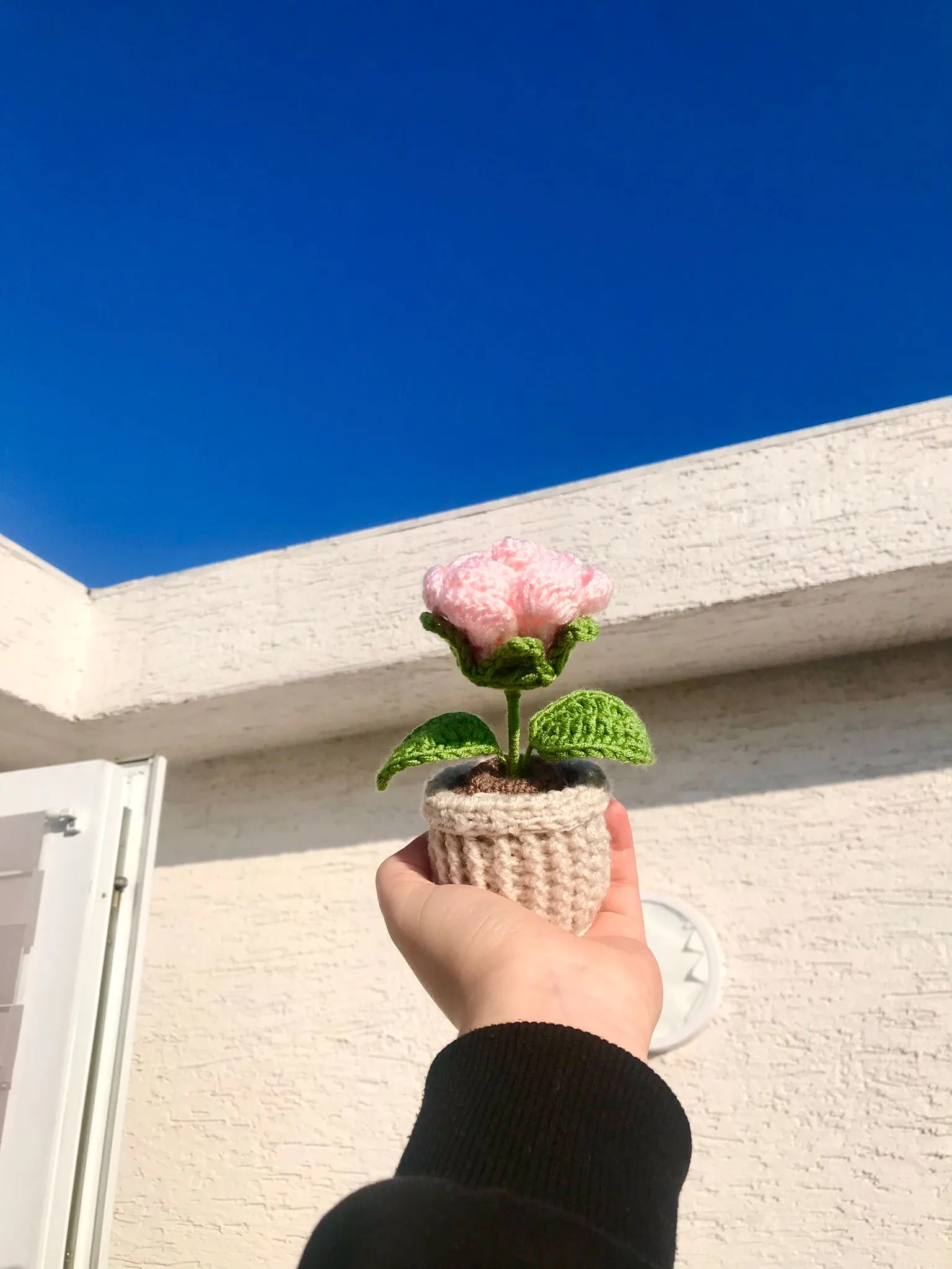 Örgü Pembe Saksı Gül