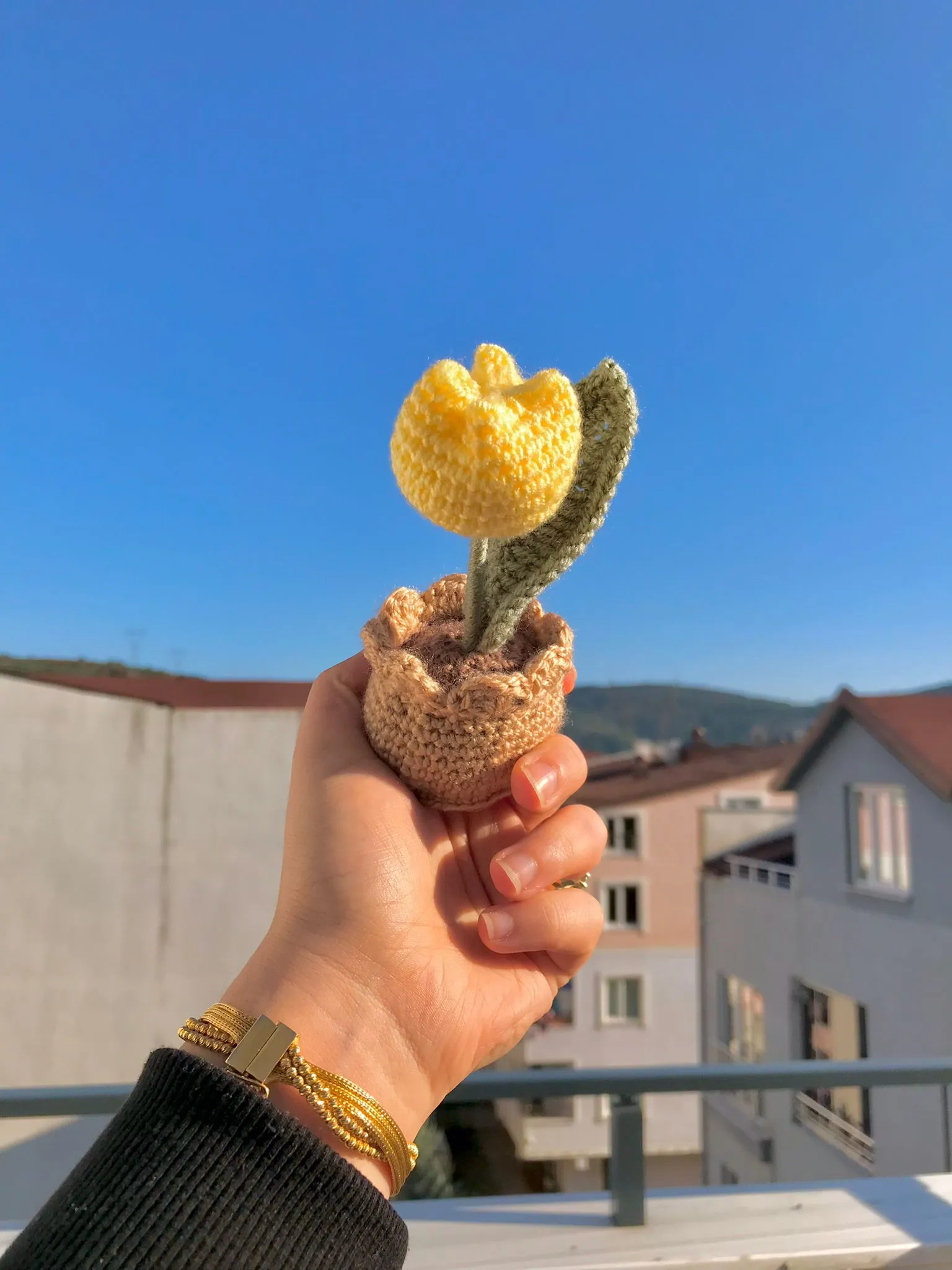 Tek Lale Limon Sarı