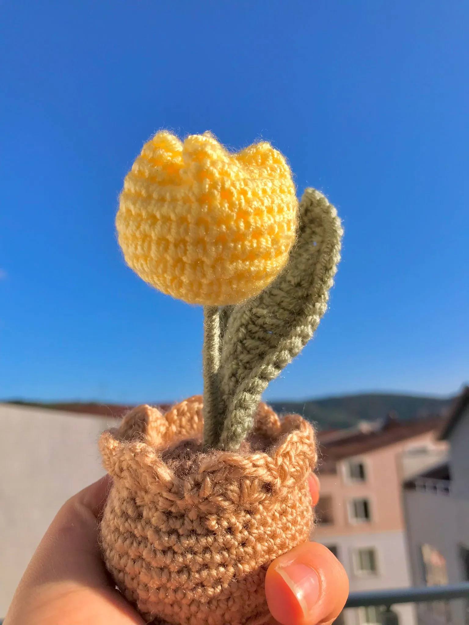 Tek Lale Limon Sarı