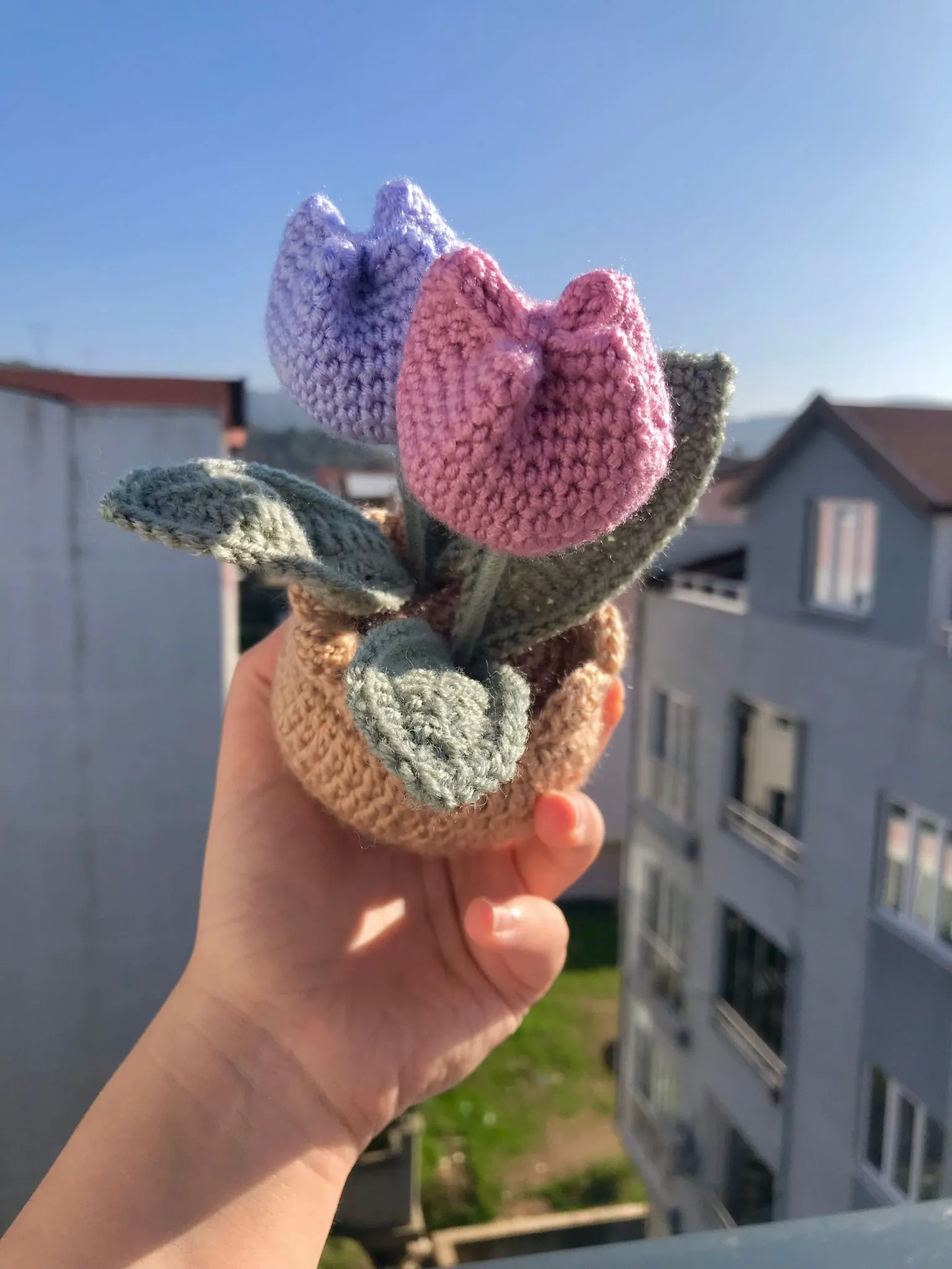 Lale Pembe Mor Saksı