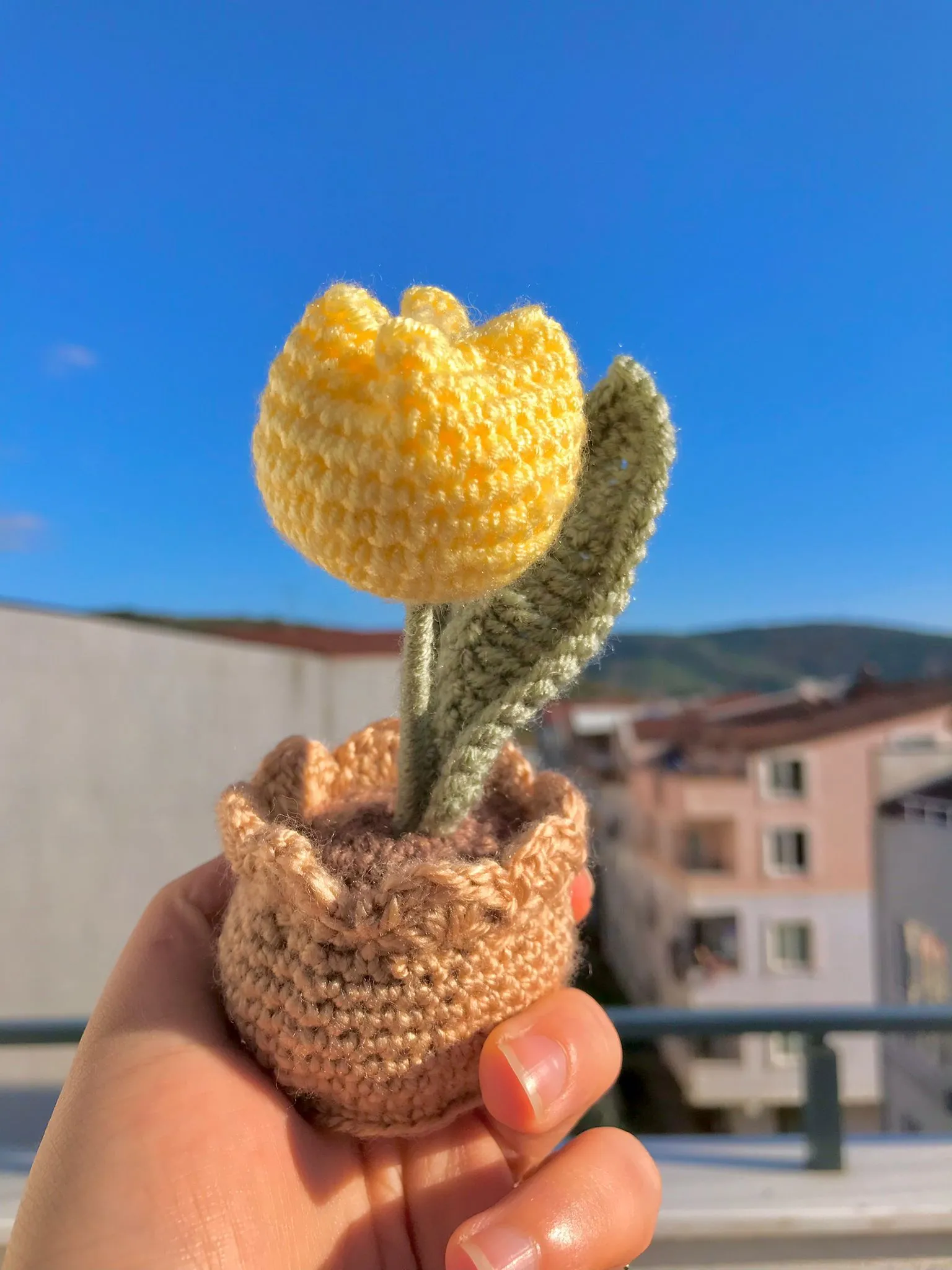 Tek Lale Limon Sarı