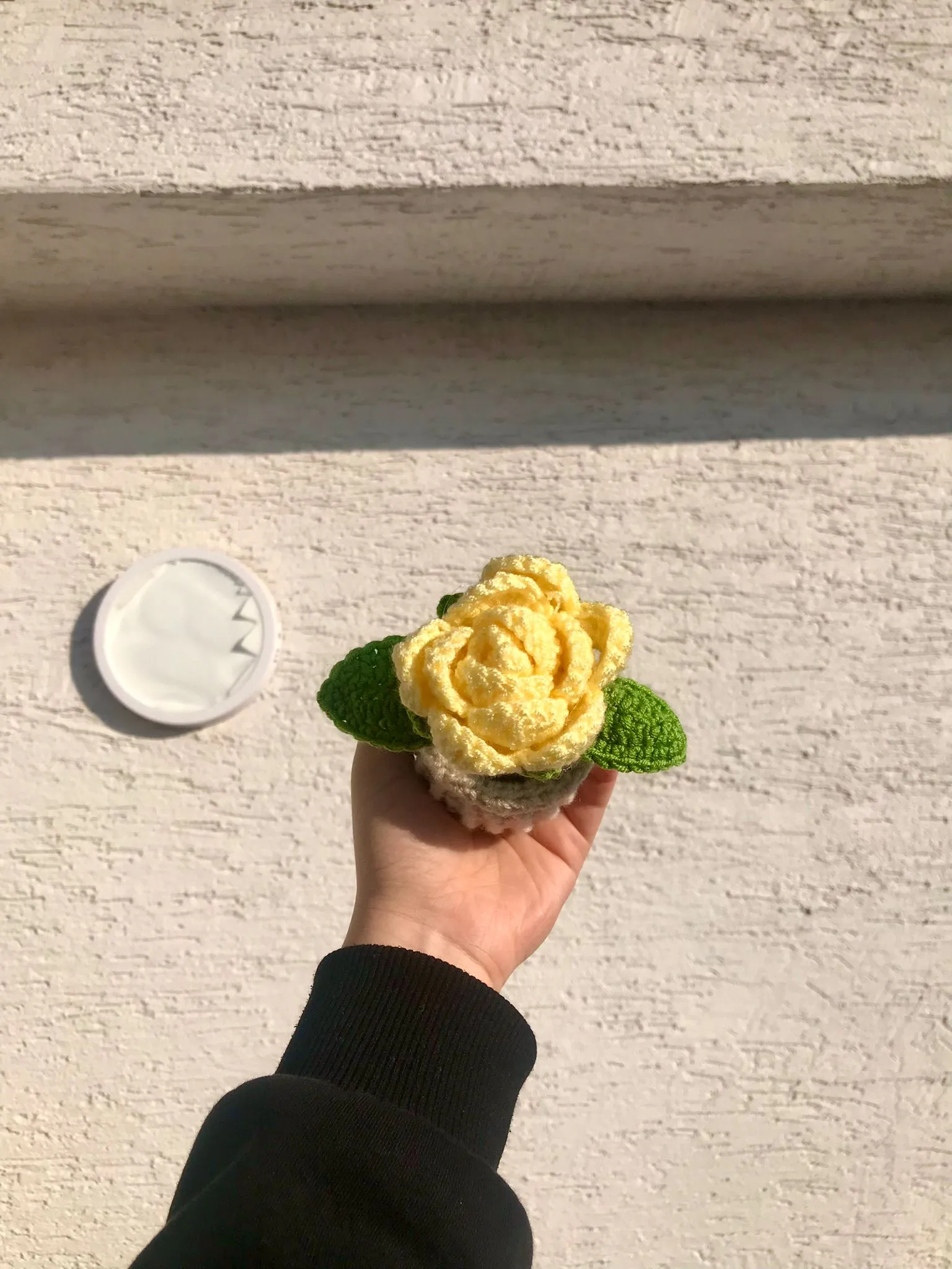 Örgü Sarı Saksı Gül