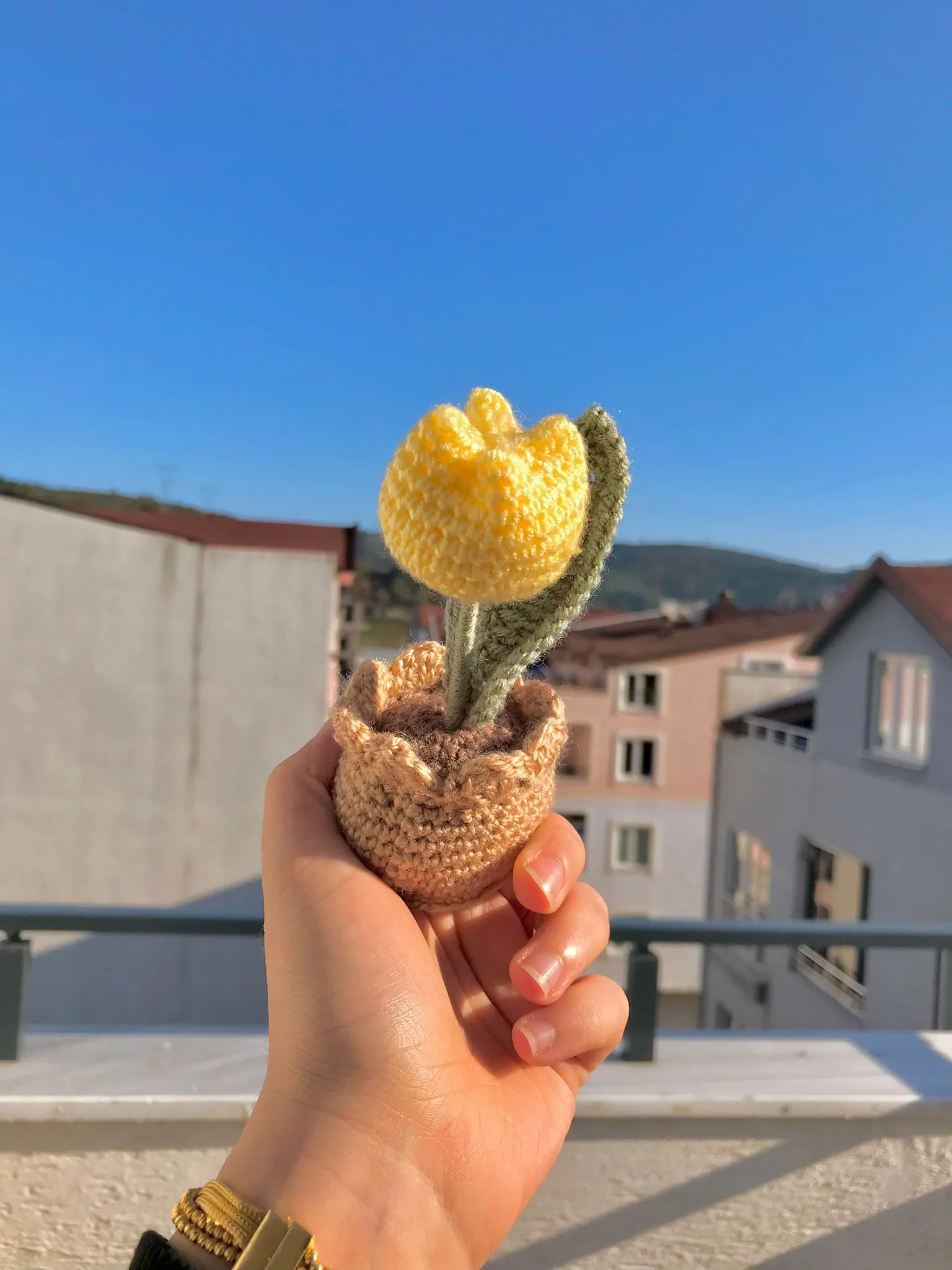 Tek Lale Limon Sarı