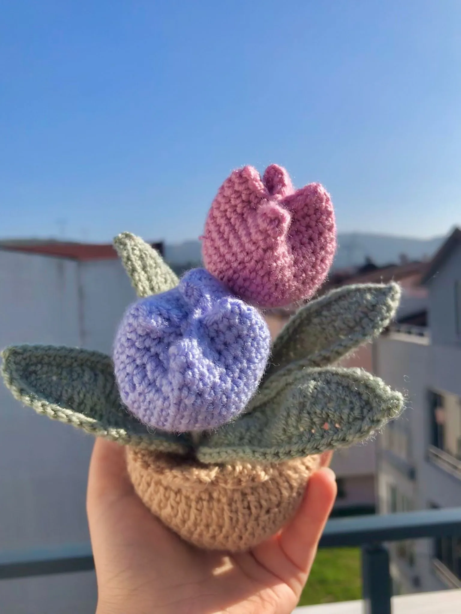 Tulip Pink Purple Pot