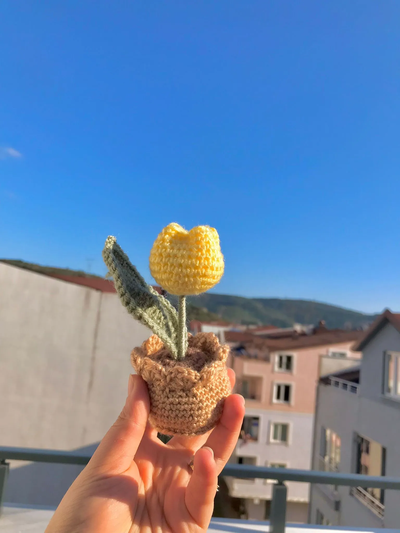 Tek Lale Limon Sarı