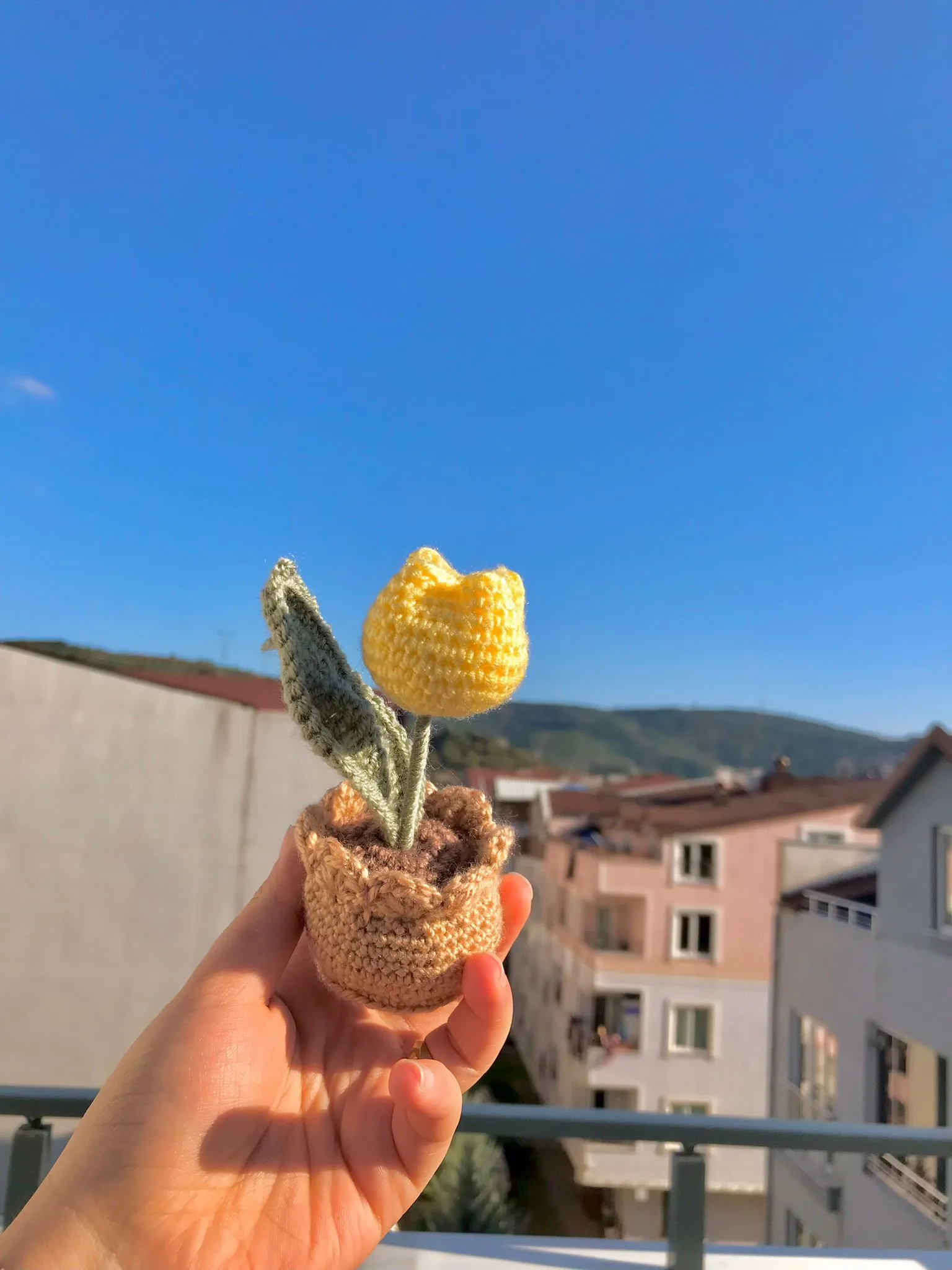 Tek Lale Limon Sarı