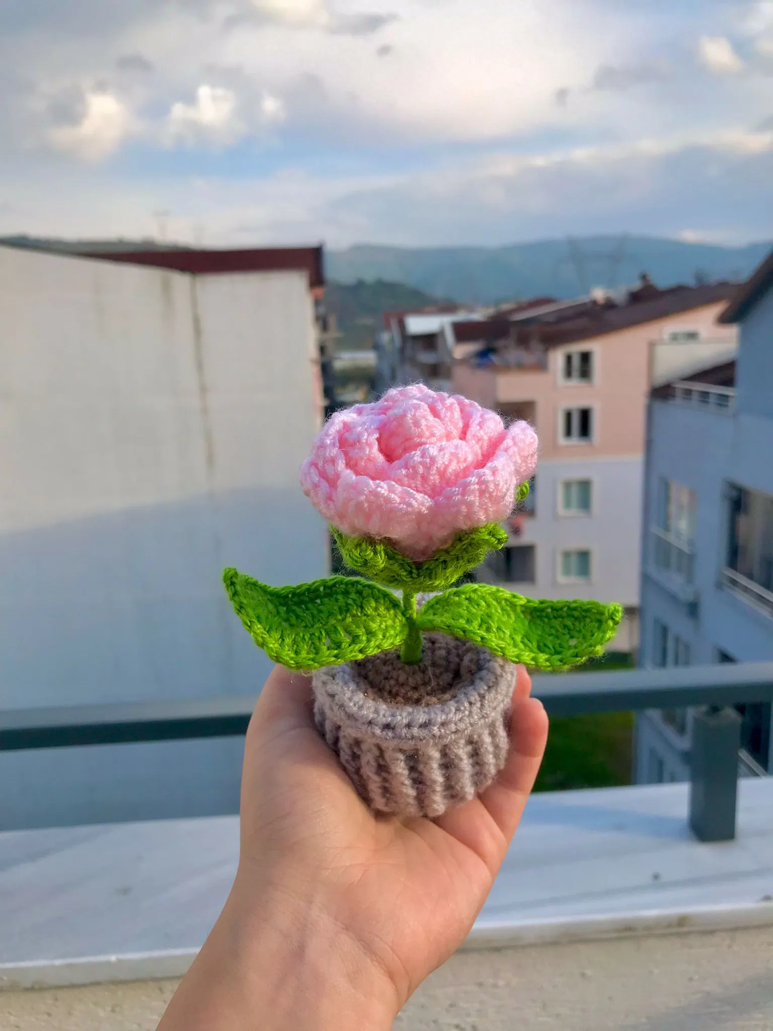 Örgü Şeker Pembe Saksı Gül