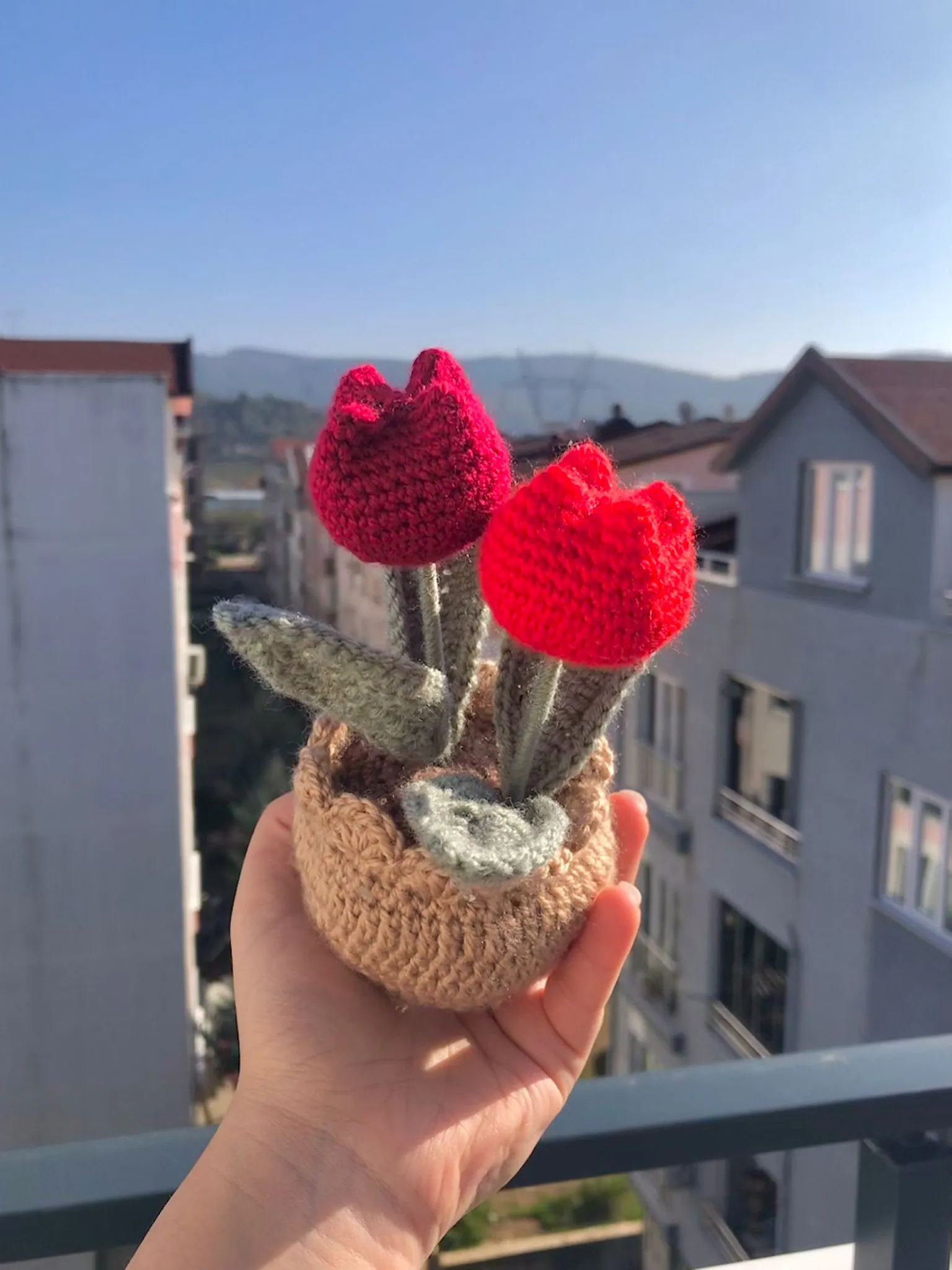 Lale Kırmızı Saksı