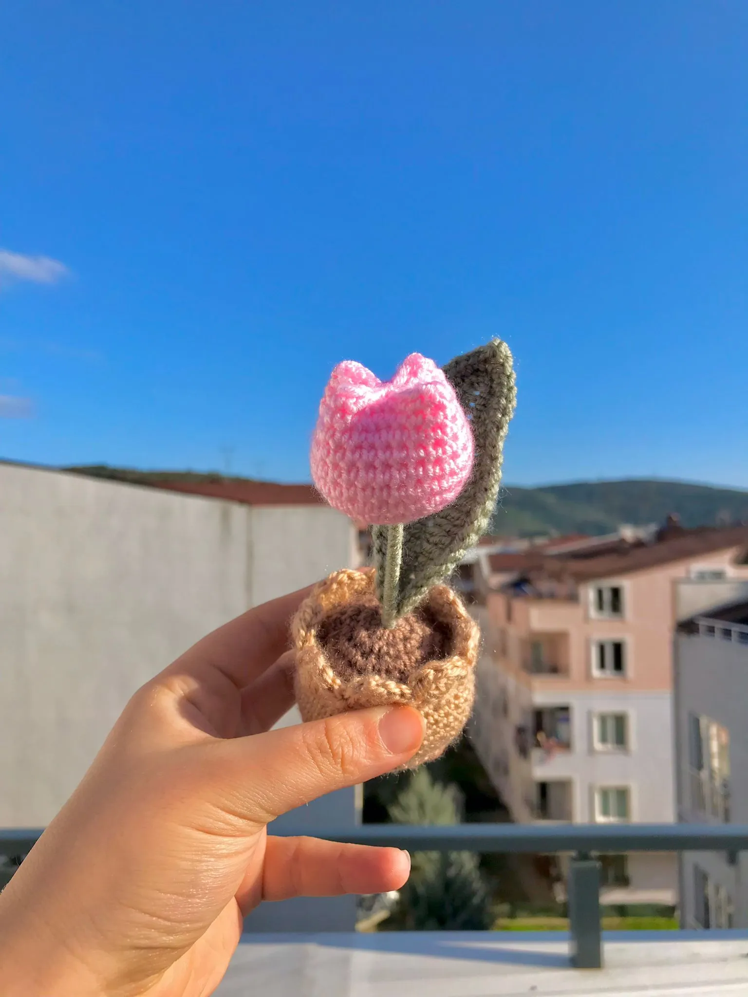 Tek Lila Şeker Pembe