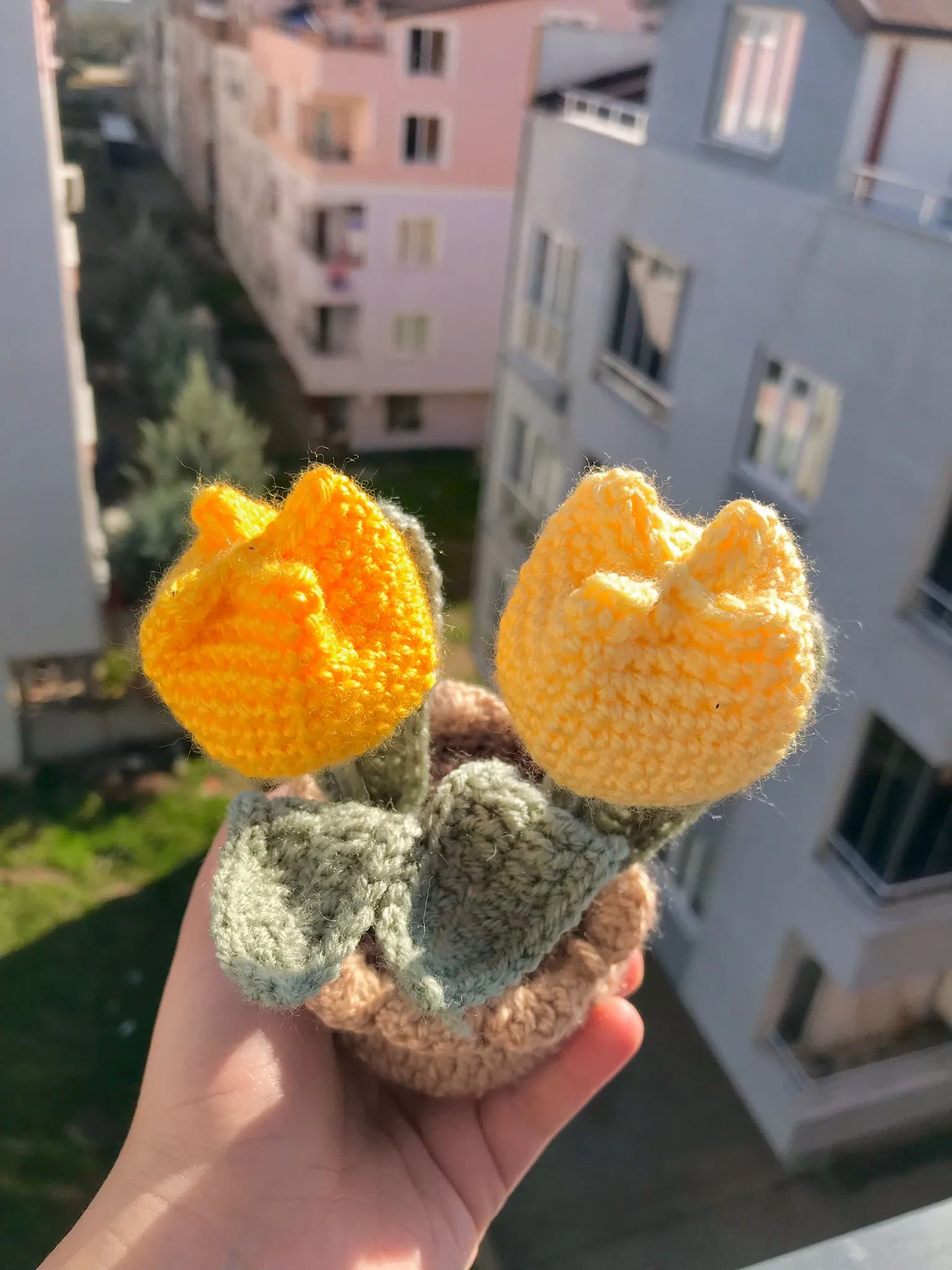 Lale Sarı Lale