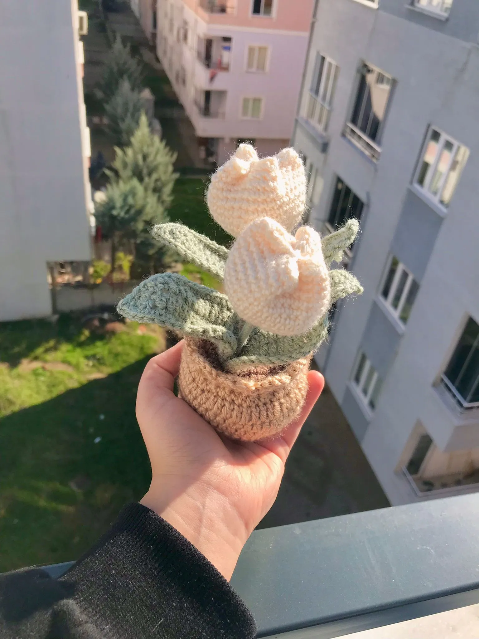 Lale Krem Saksı
