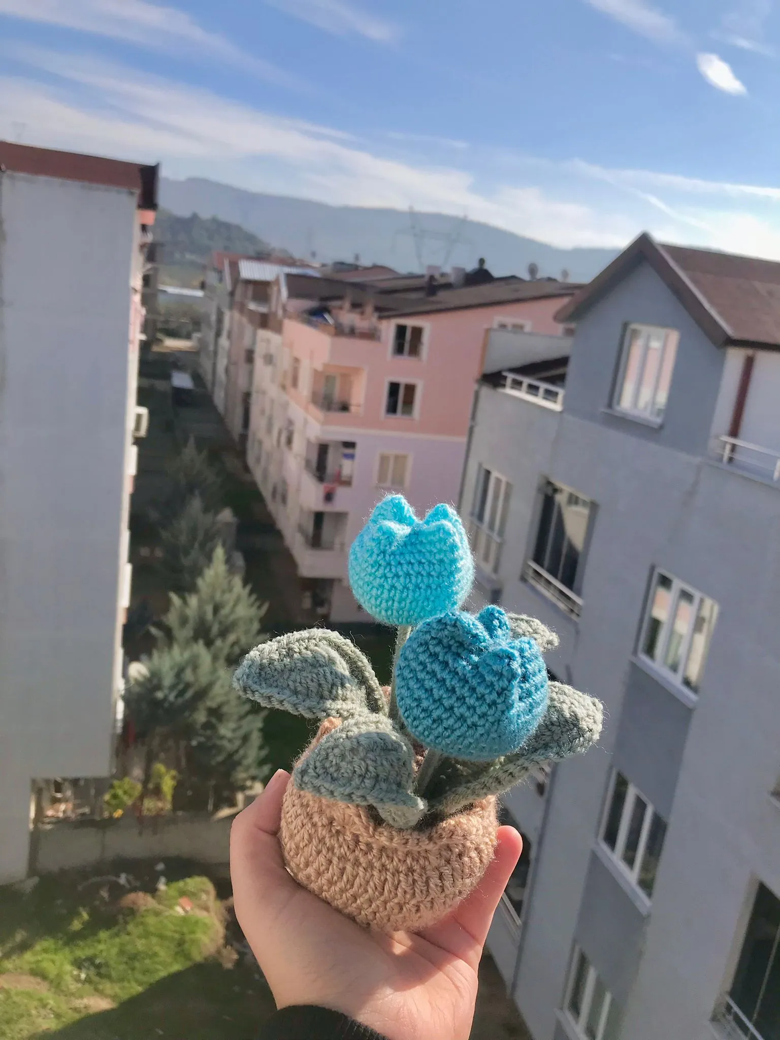 Lale Cam Göbeği Saksı