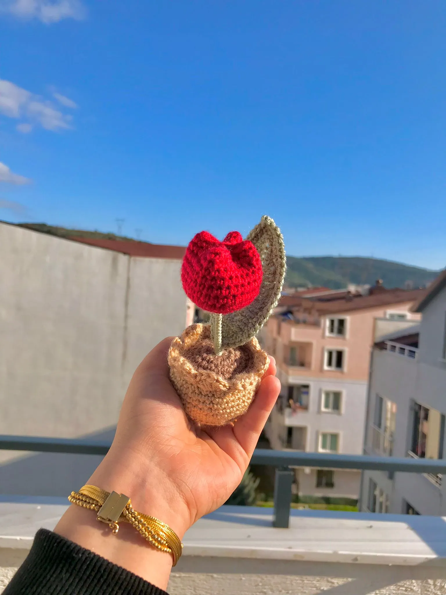Tek Lale Kırmızı