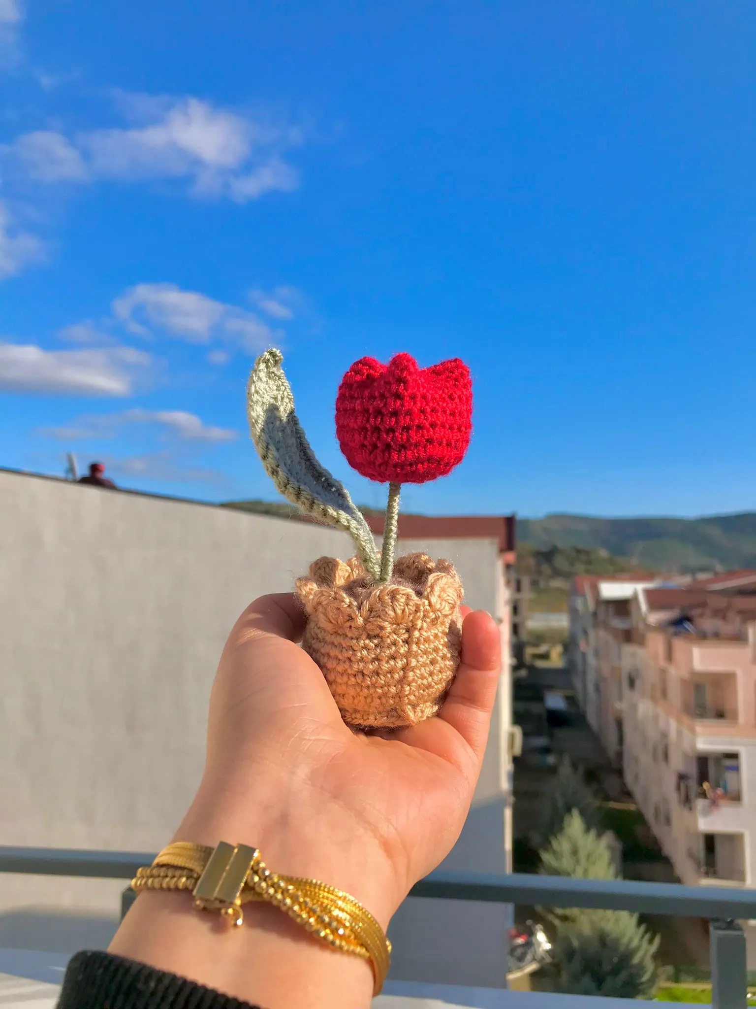 Tek Lale Kırmızı