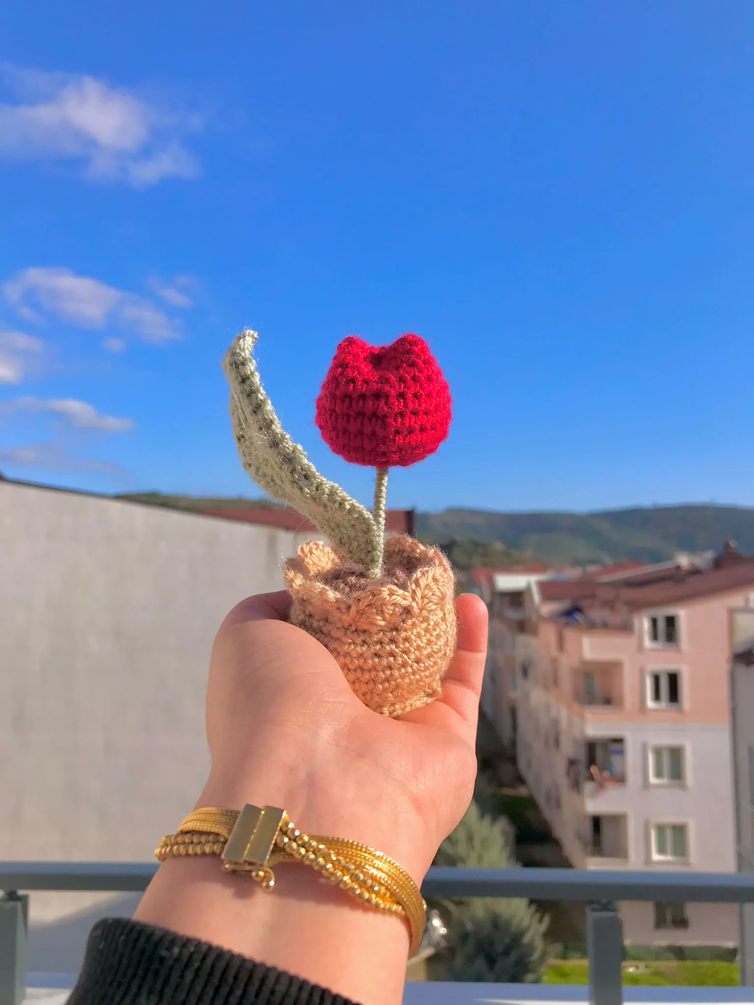 Tek Lale Kırmızı