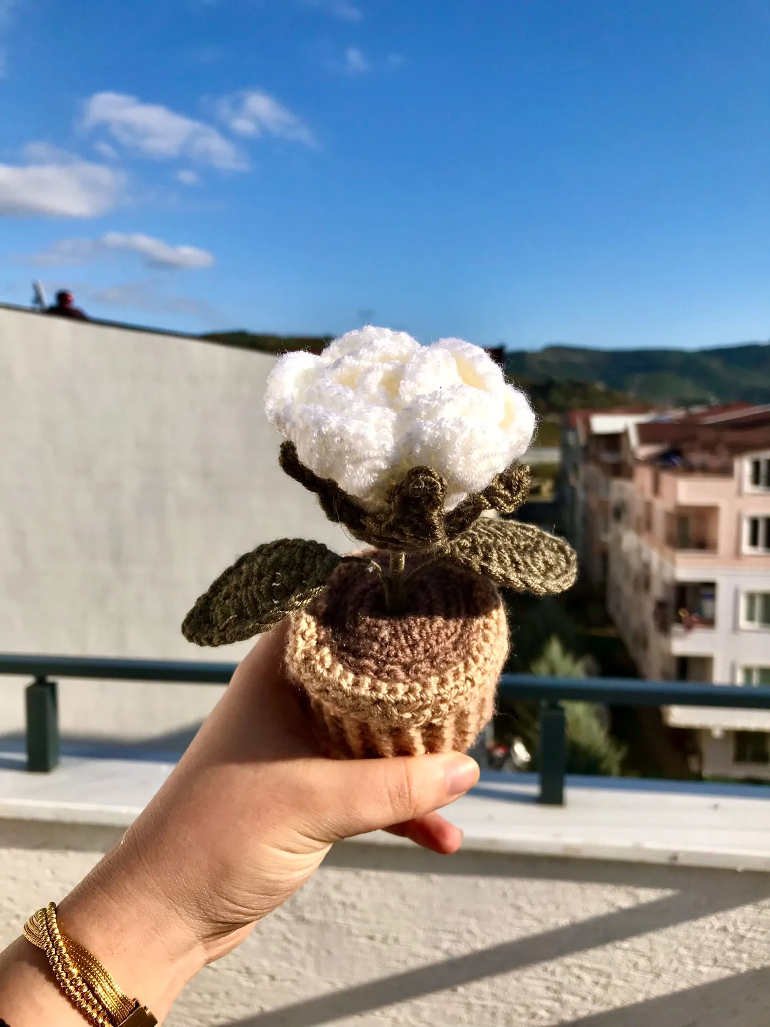 Beyaz Gül Saksı
