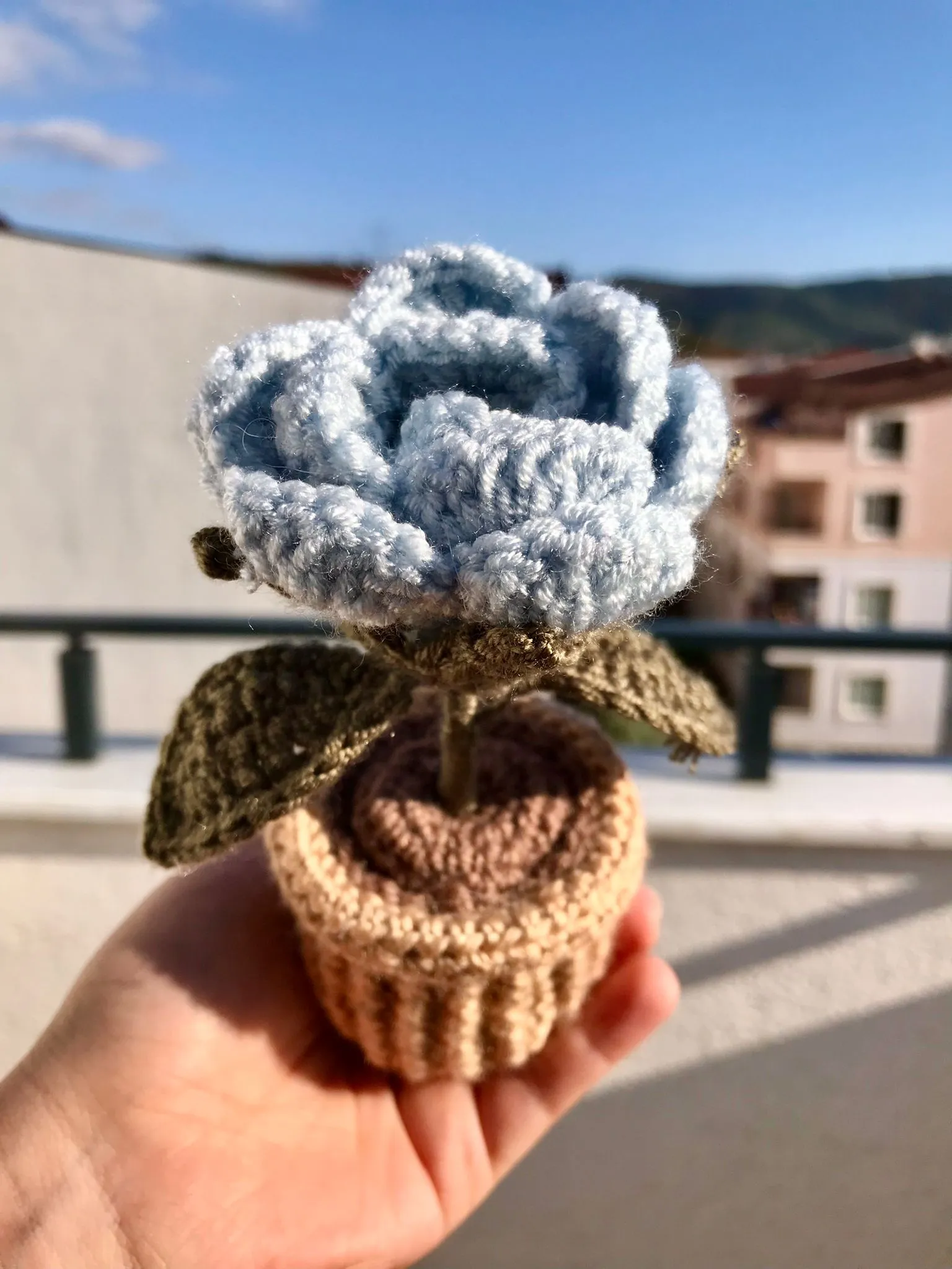 Buz Mavi Gül