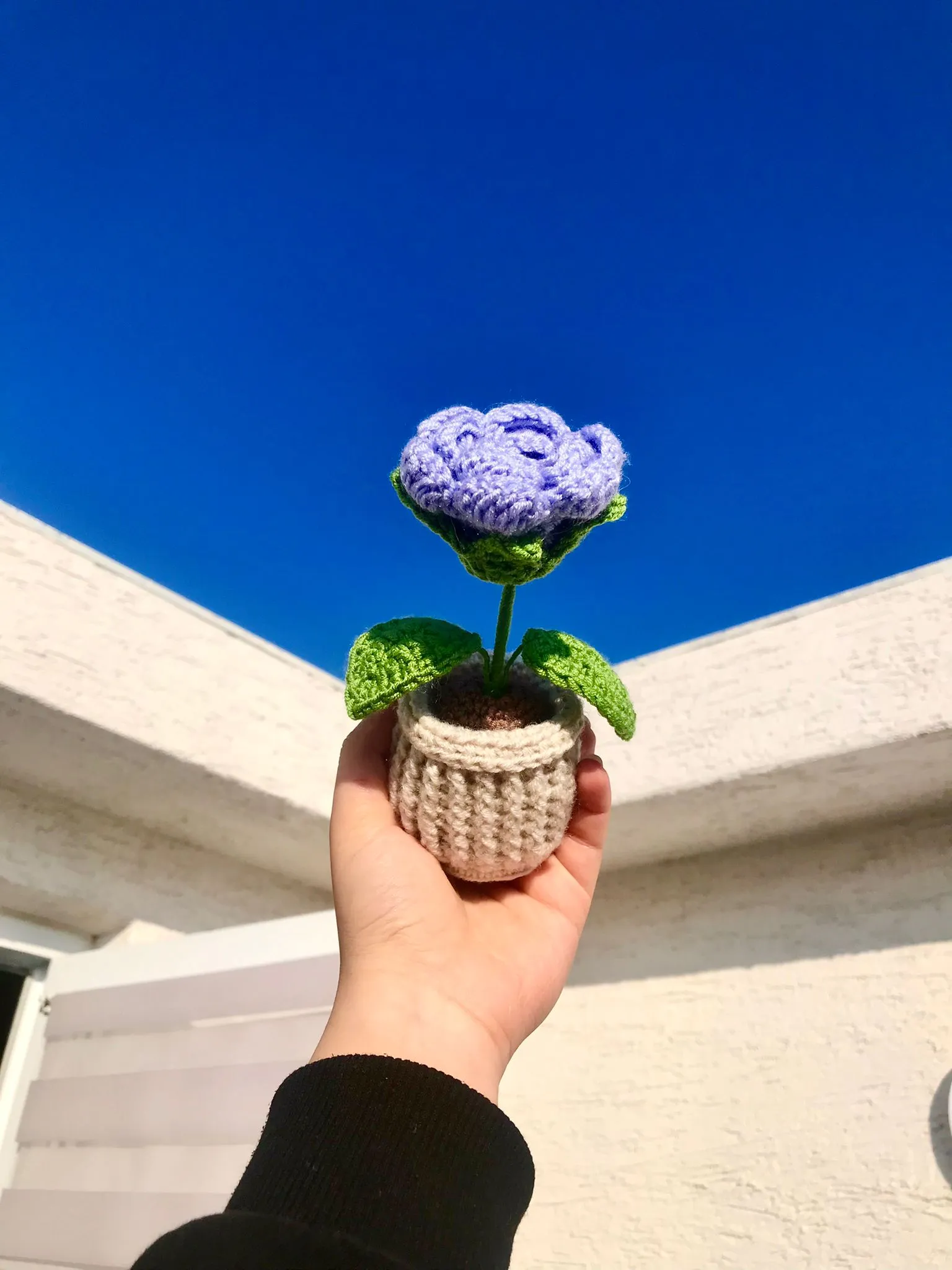 Knitted Purple Potted Rose