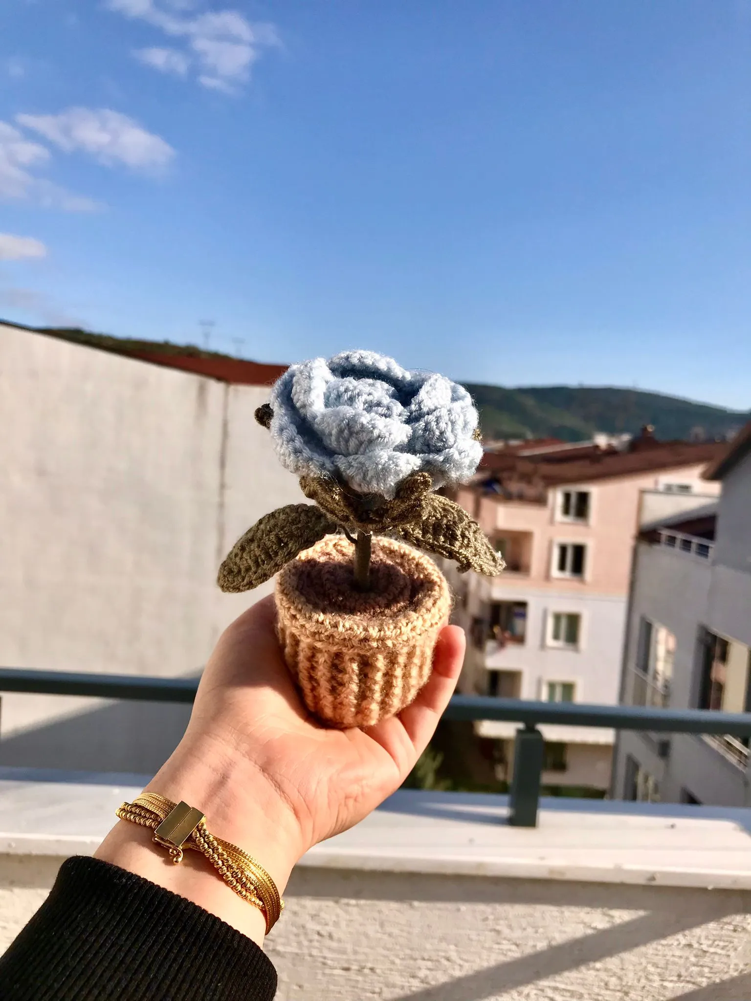 Buz Mavi Gül