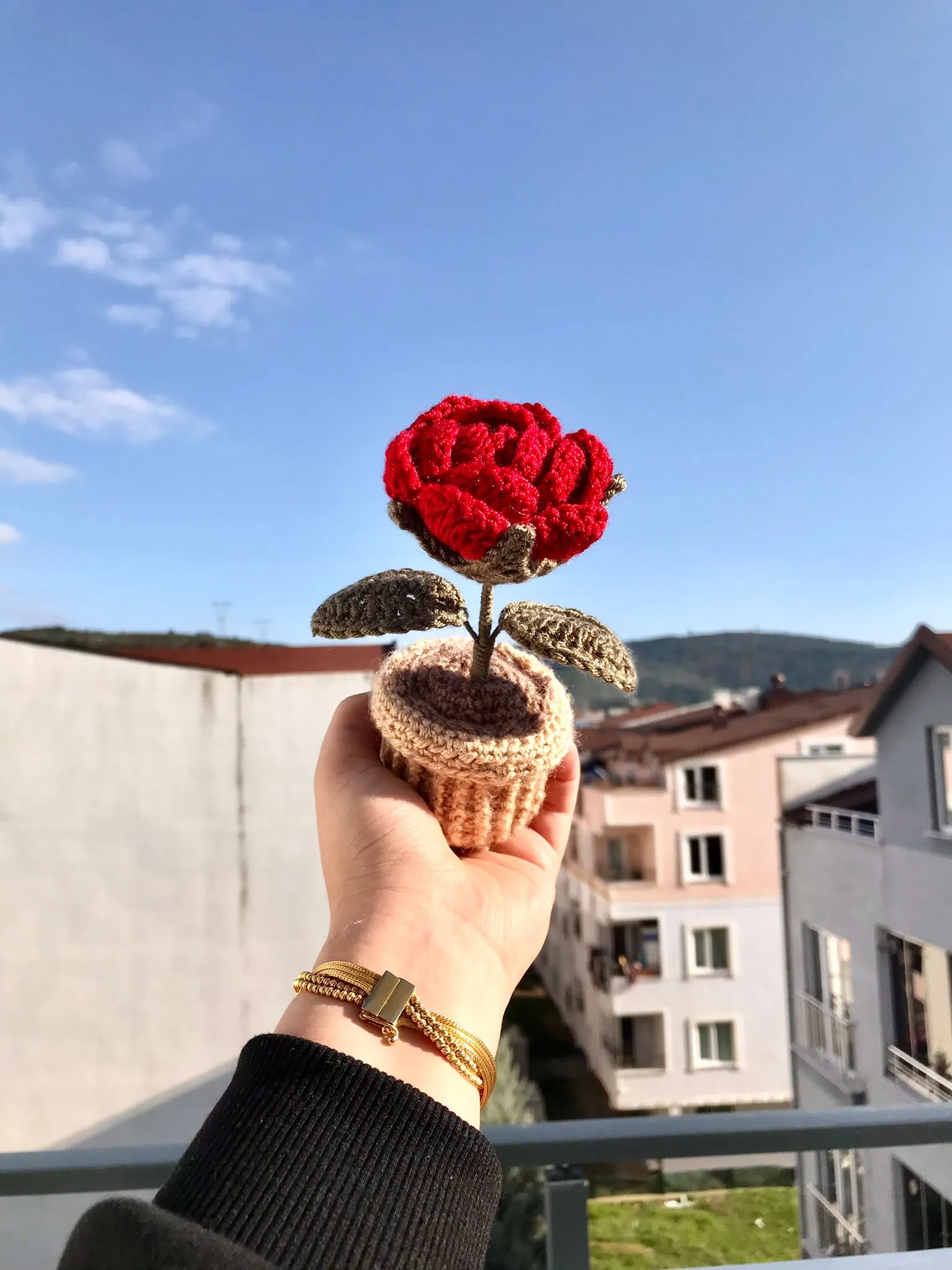 Kırmızı Gül Saksı