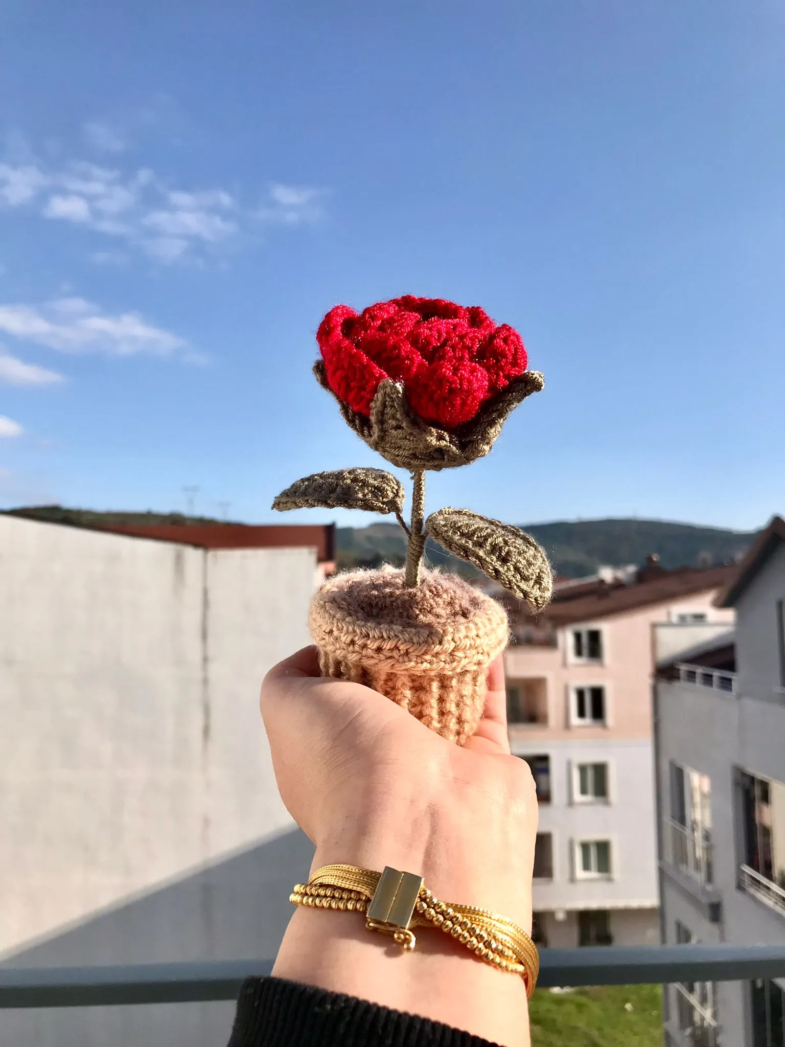 Kırmızı Gül Saksı