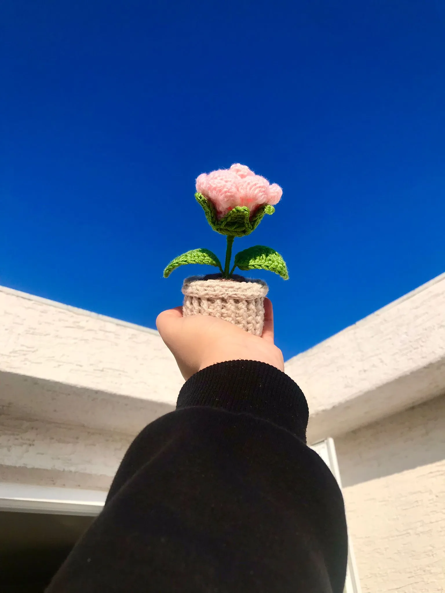 Örgü Pembe Saksı Gül