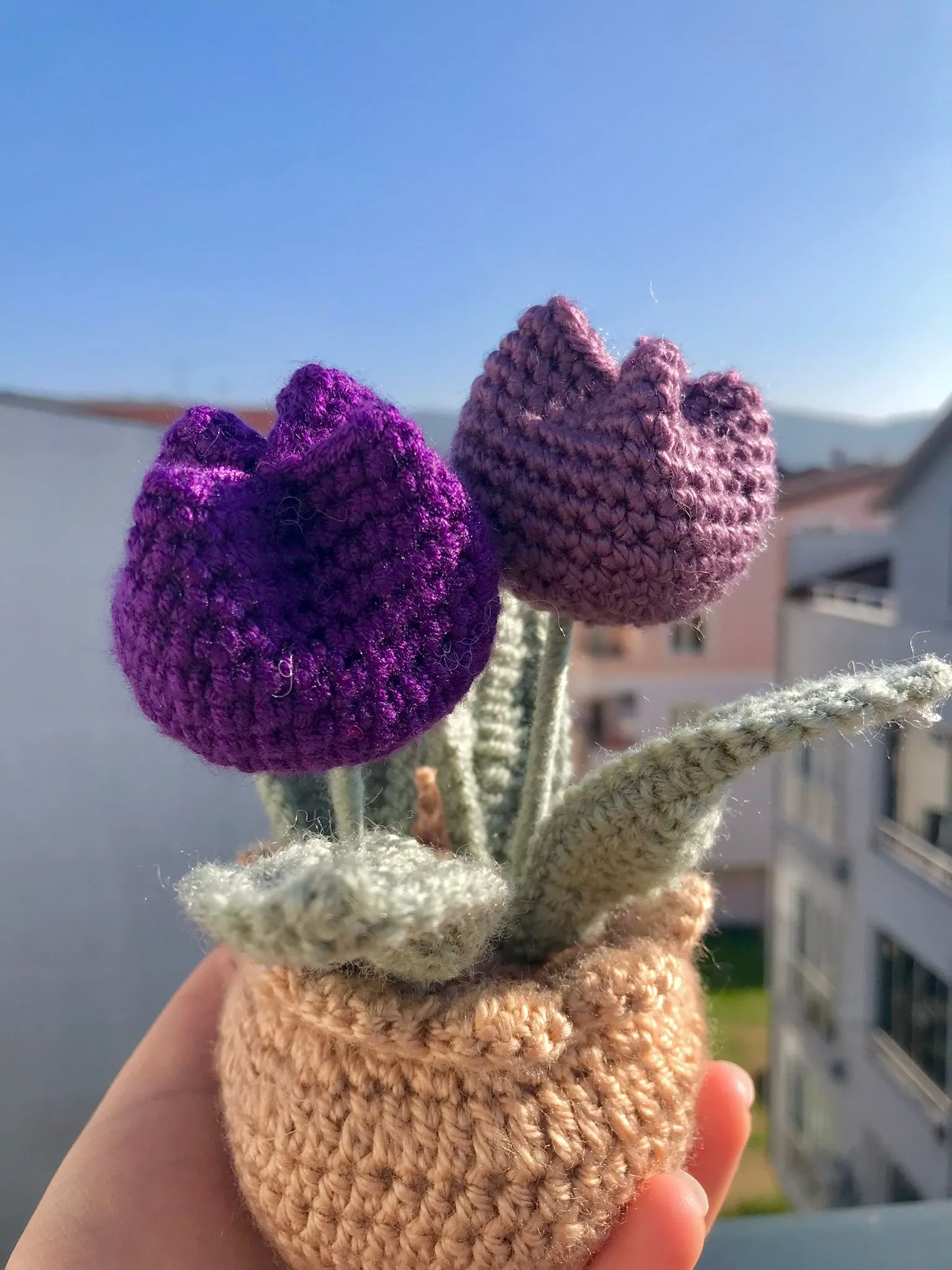 Lale Mor Saksı