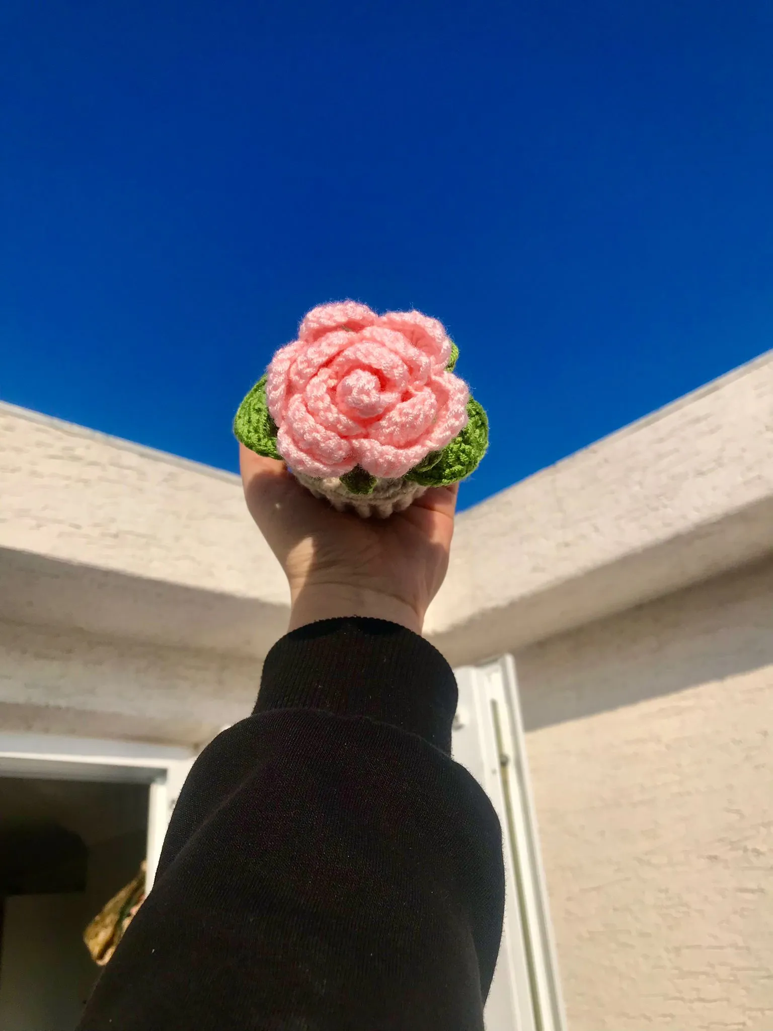 Örgü Pembe Saksı Gül