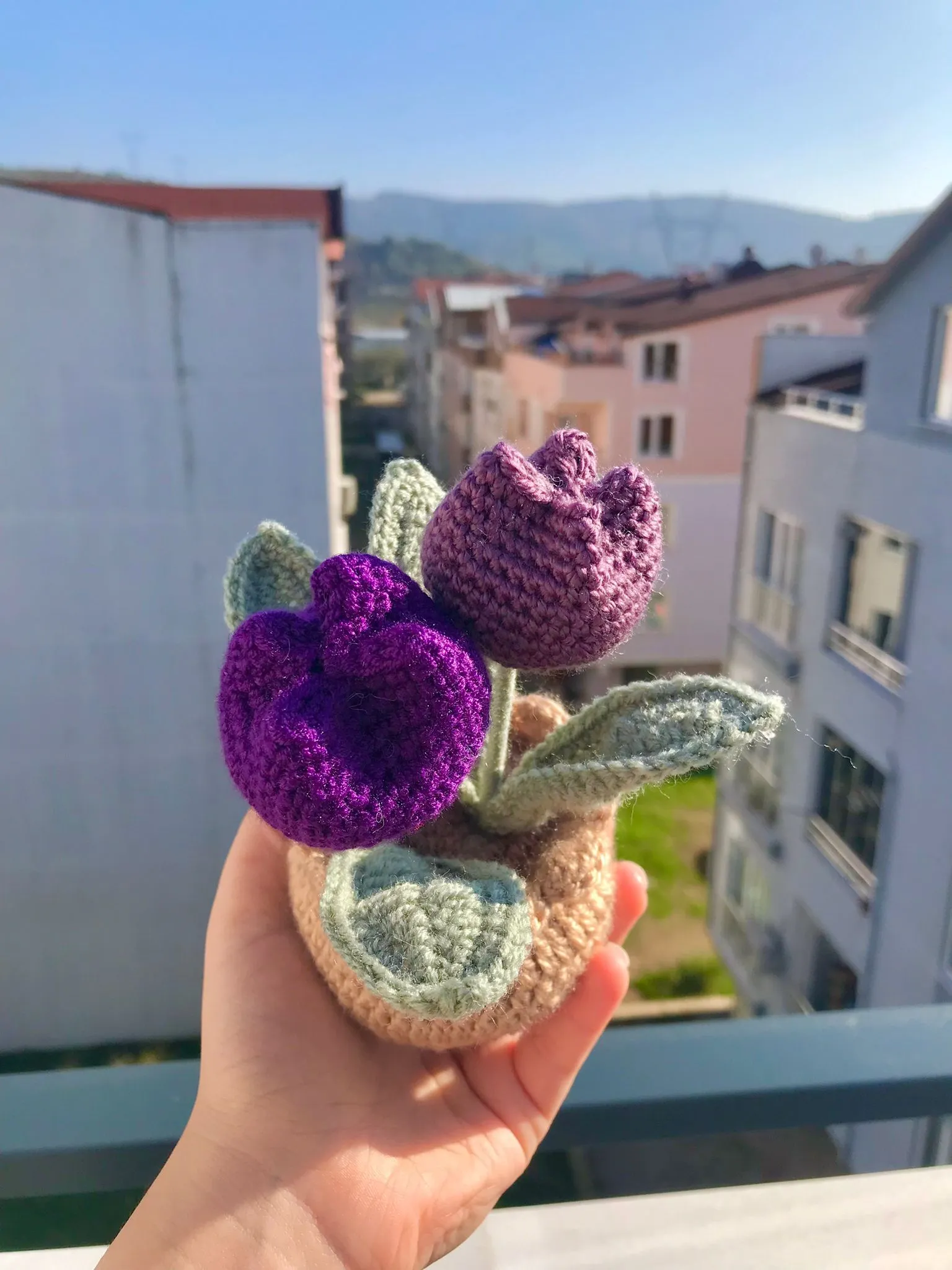 Lale Mor Saksı