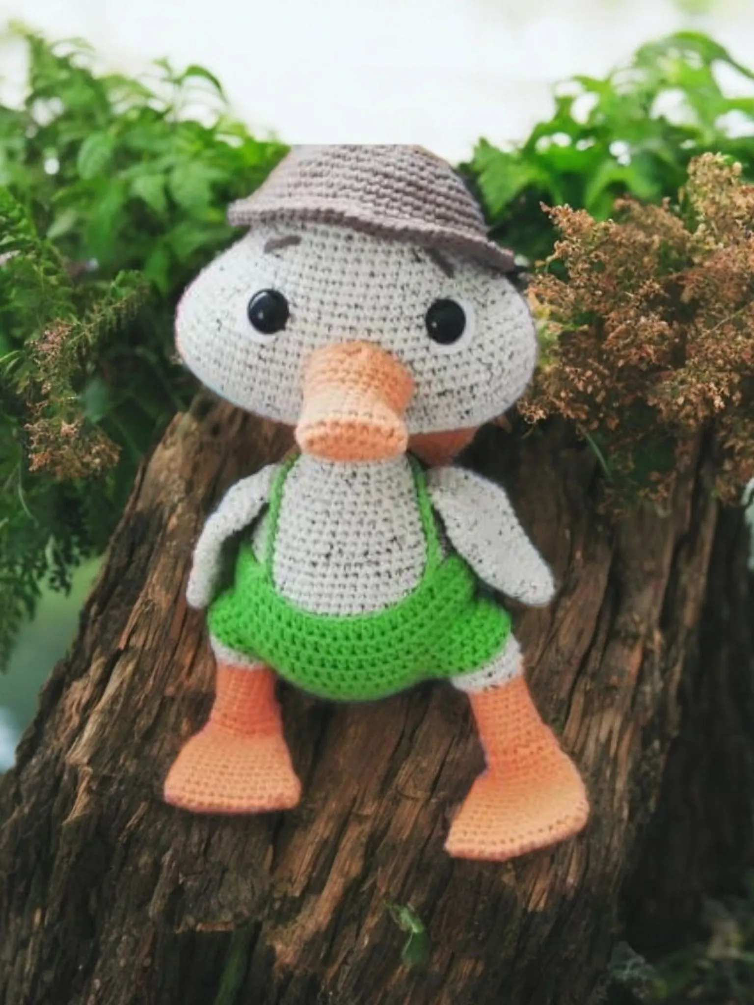 Duck in green shorts