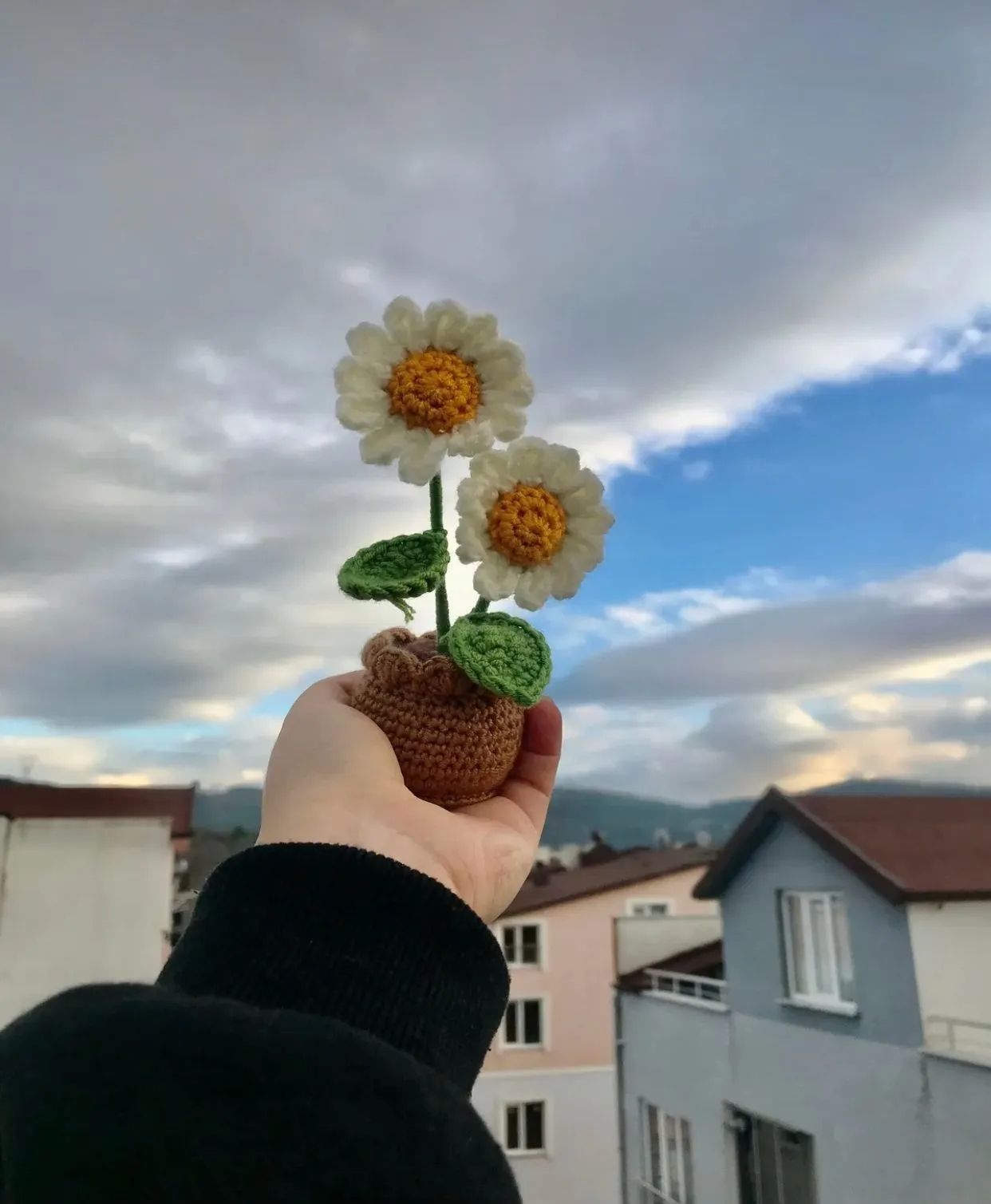 2'li Beyaz Papatya Saksı