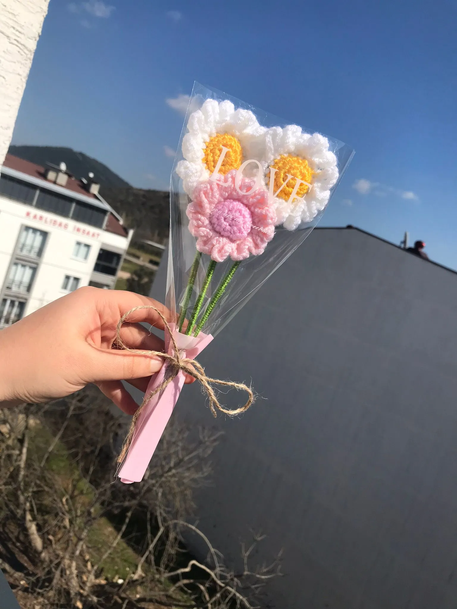Pembe Beyaz Papatya Buket