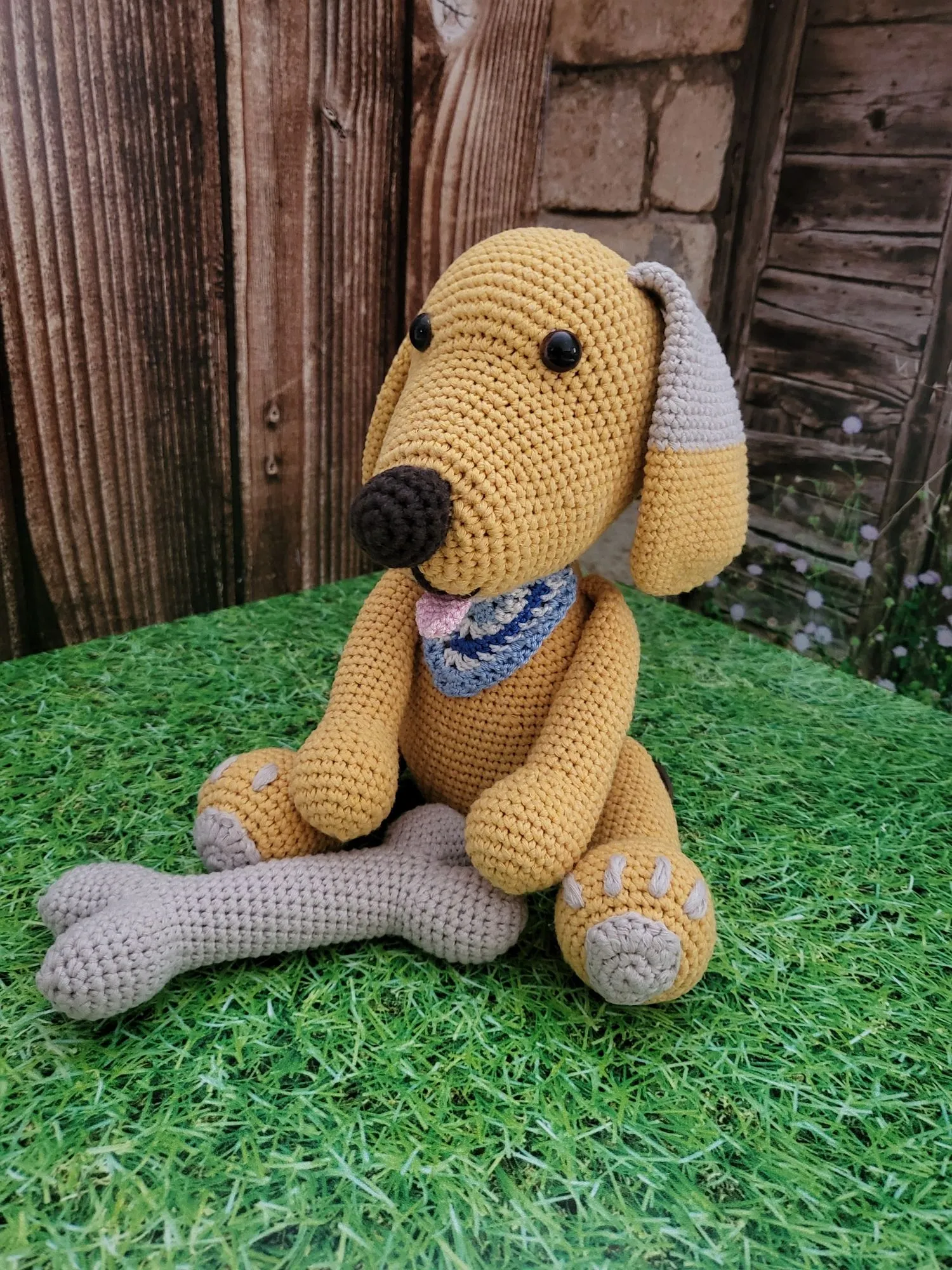 Cute dog with bones