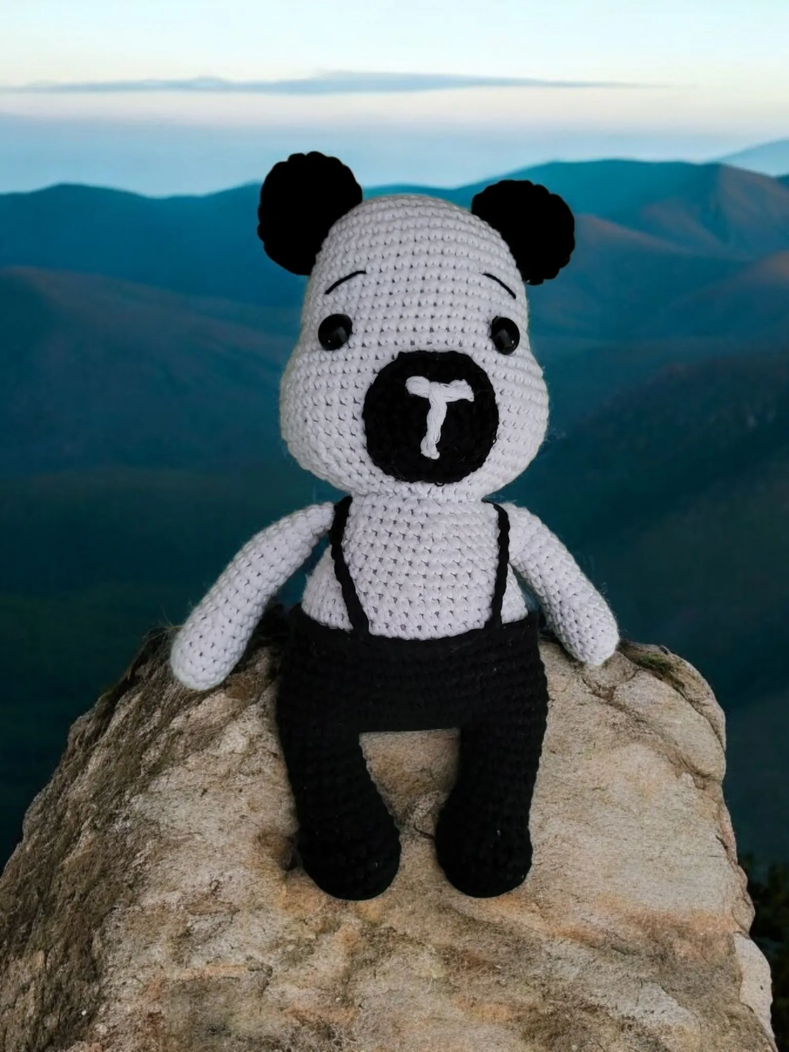 Beşiktaş fan teddy bear