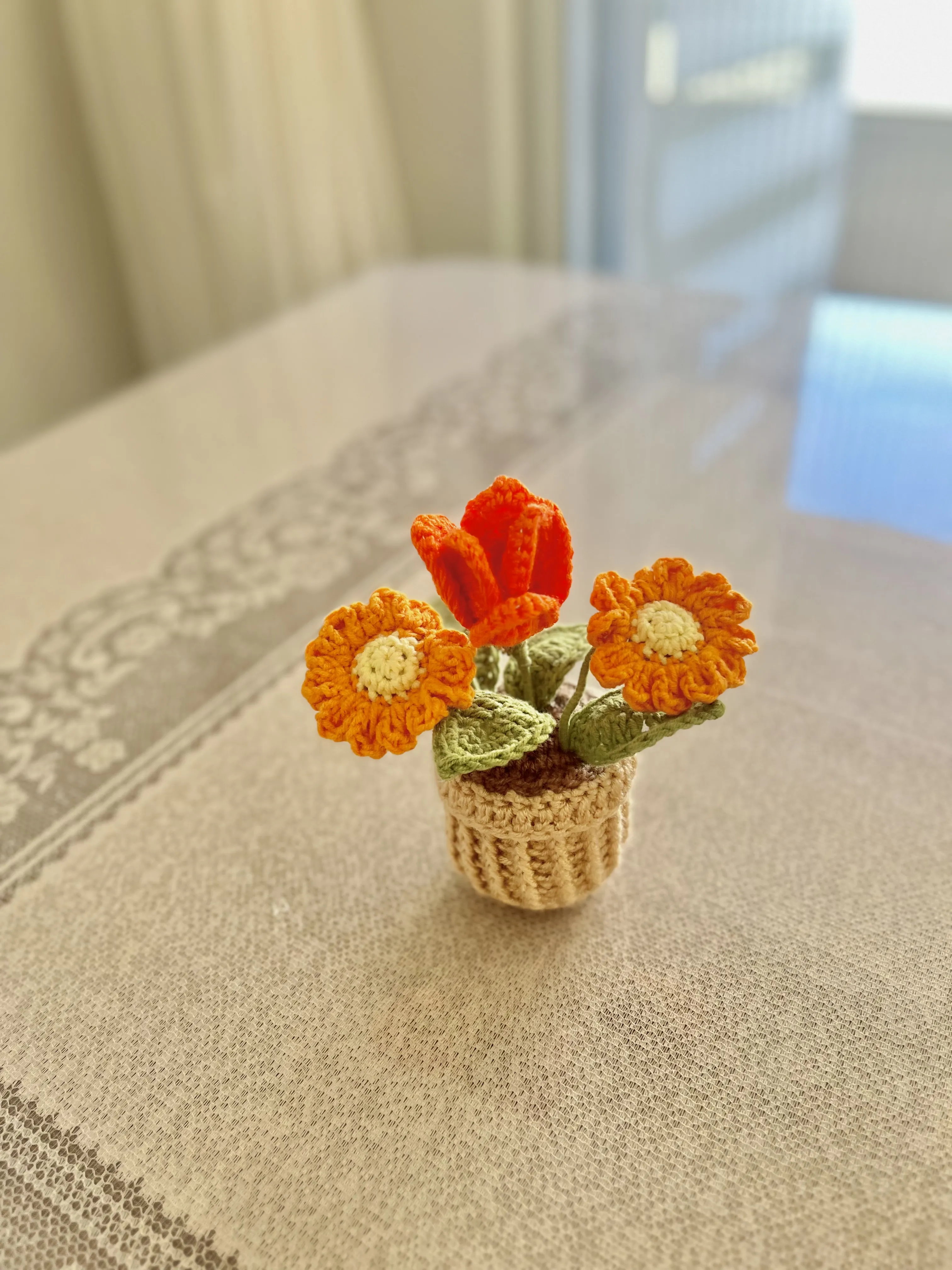 Turuncu Lale Papatya Saksı Çiçek