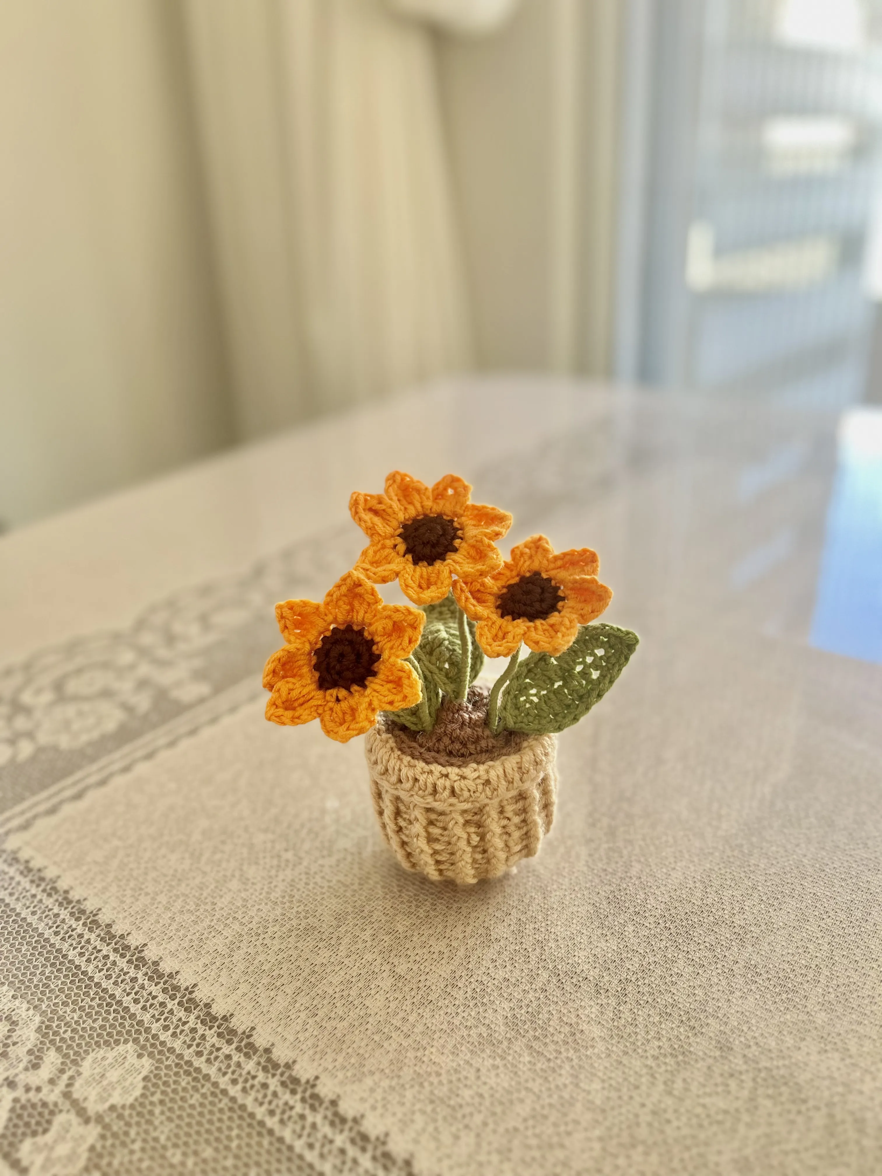 Ayçiçek Saksı Turuncu