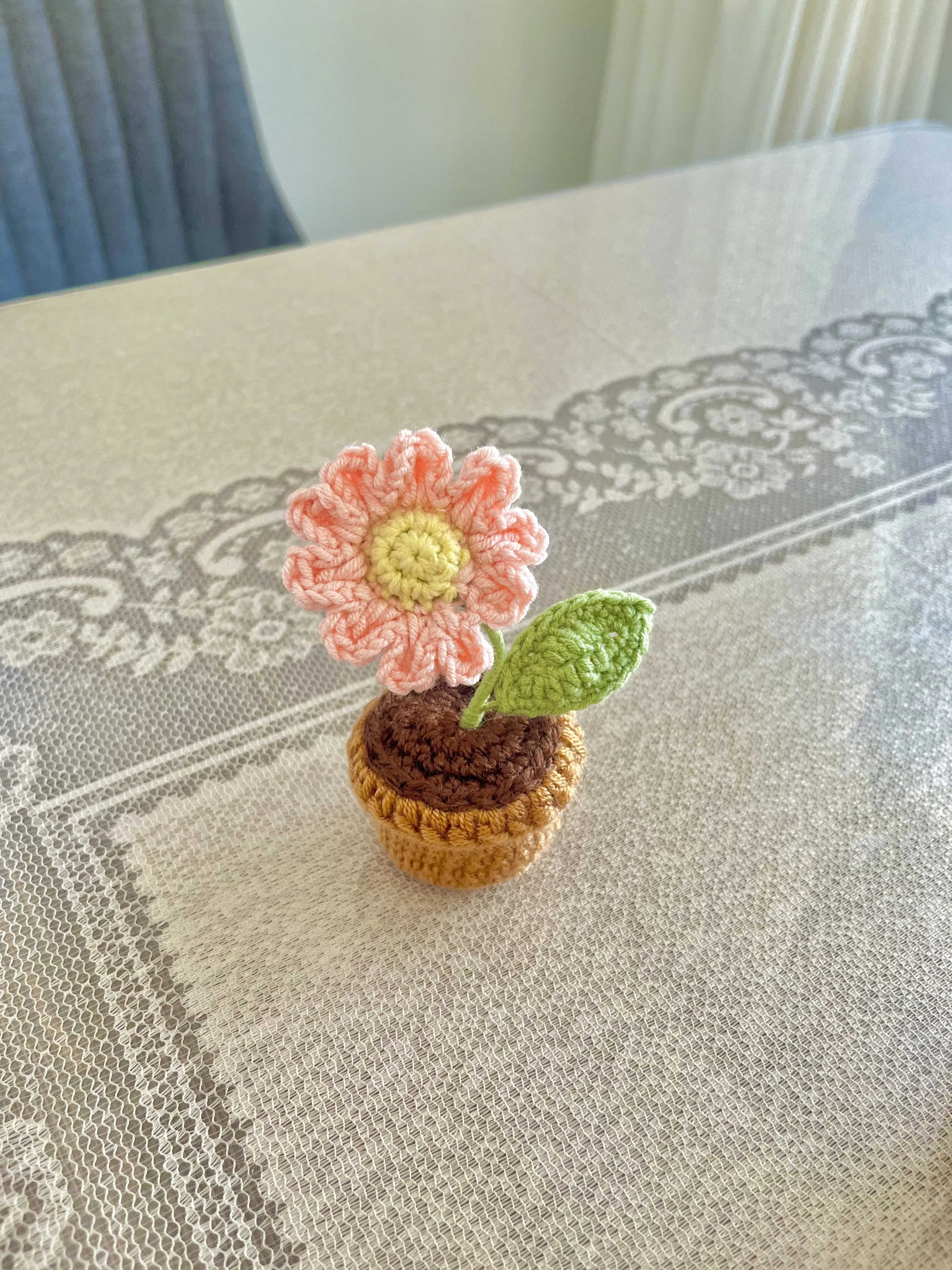 Şeker Pembe Papatya Miniş Saksı