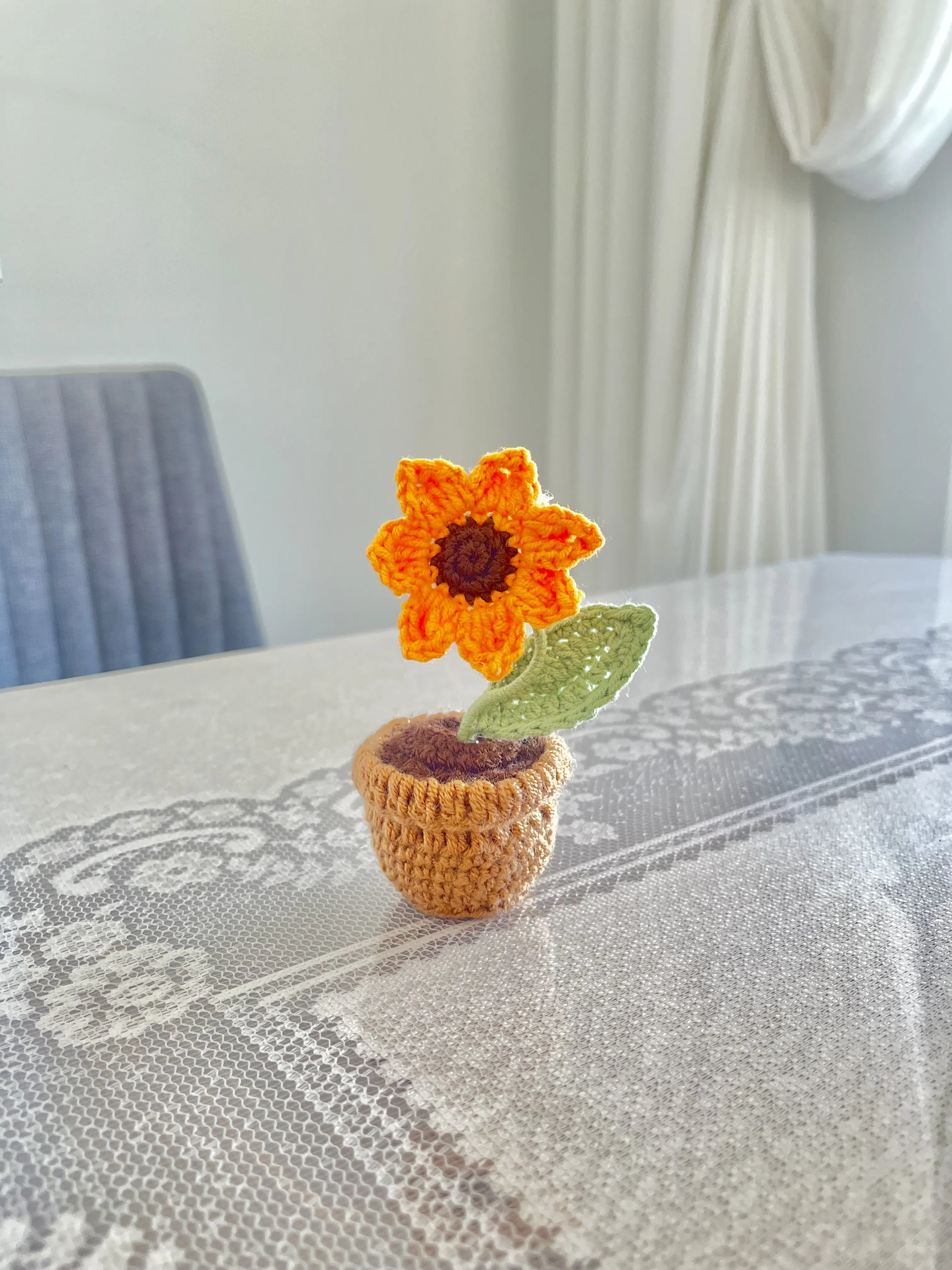 Ayçiçeği Tek Miniş Saksı