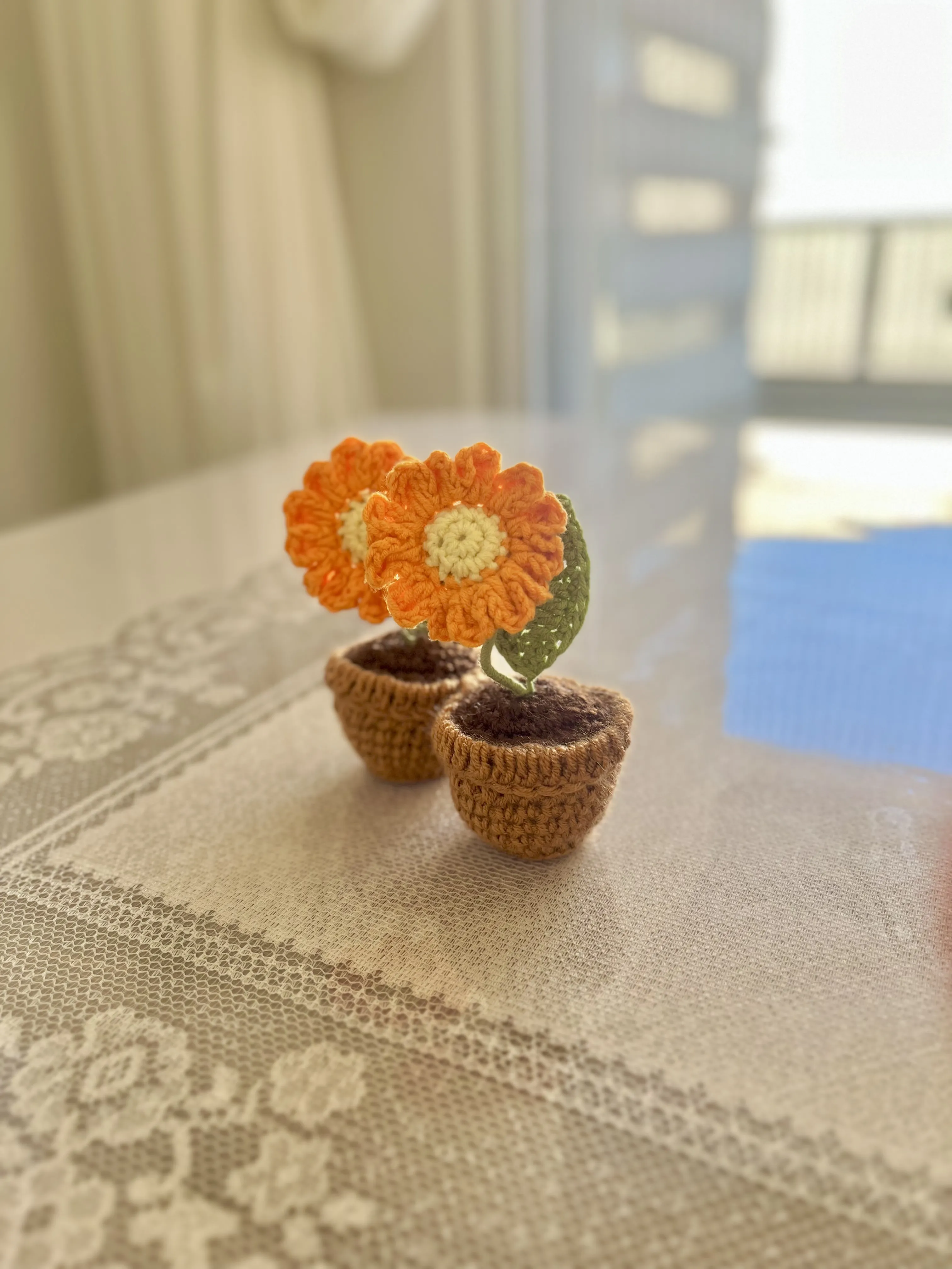 El Örgüsü Saksıda Ayçiçeği