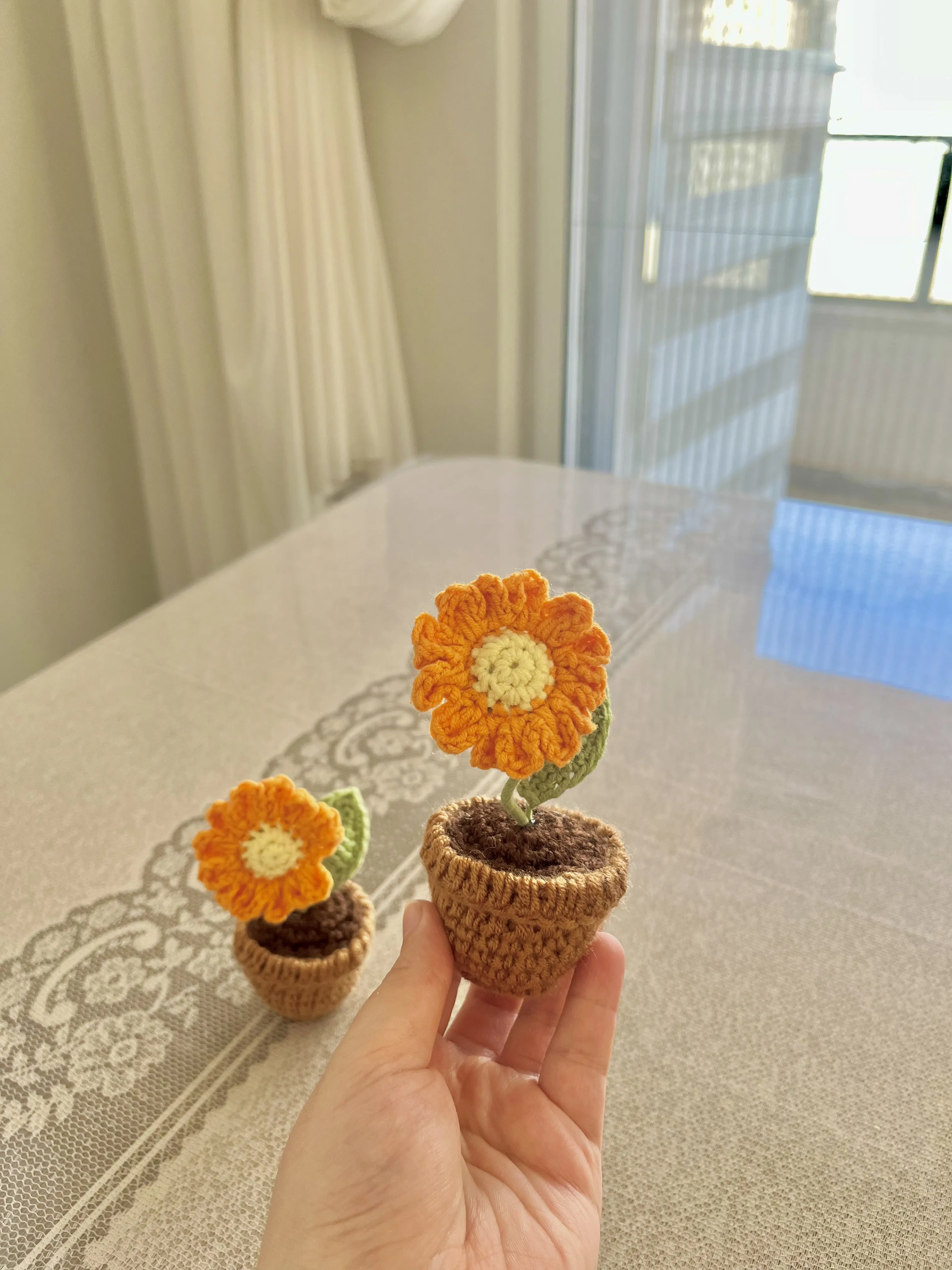 El Örgüsü Saksıda Ayçiçeği