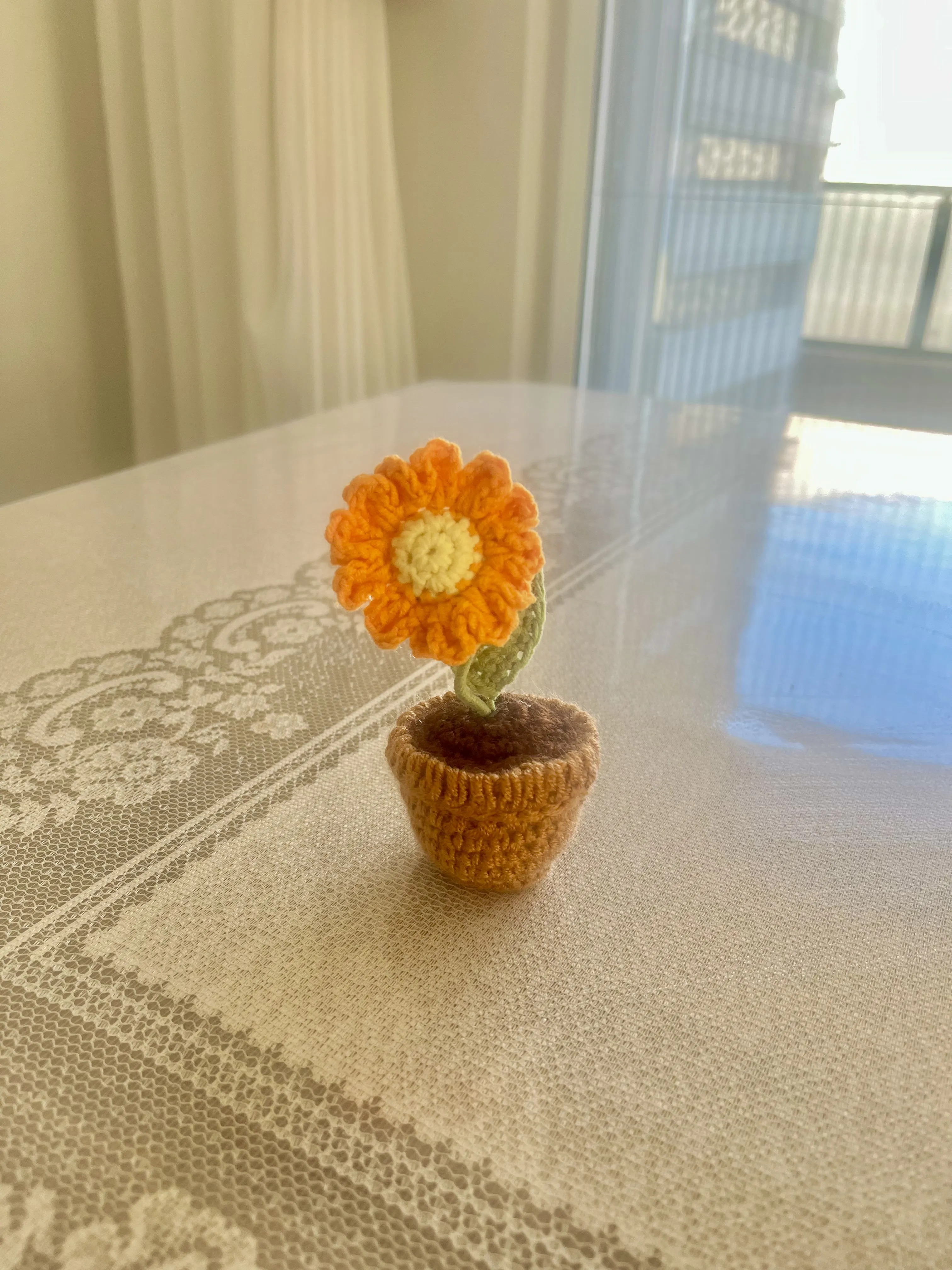El Örgüsü Saksıda Ayçiçeği