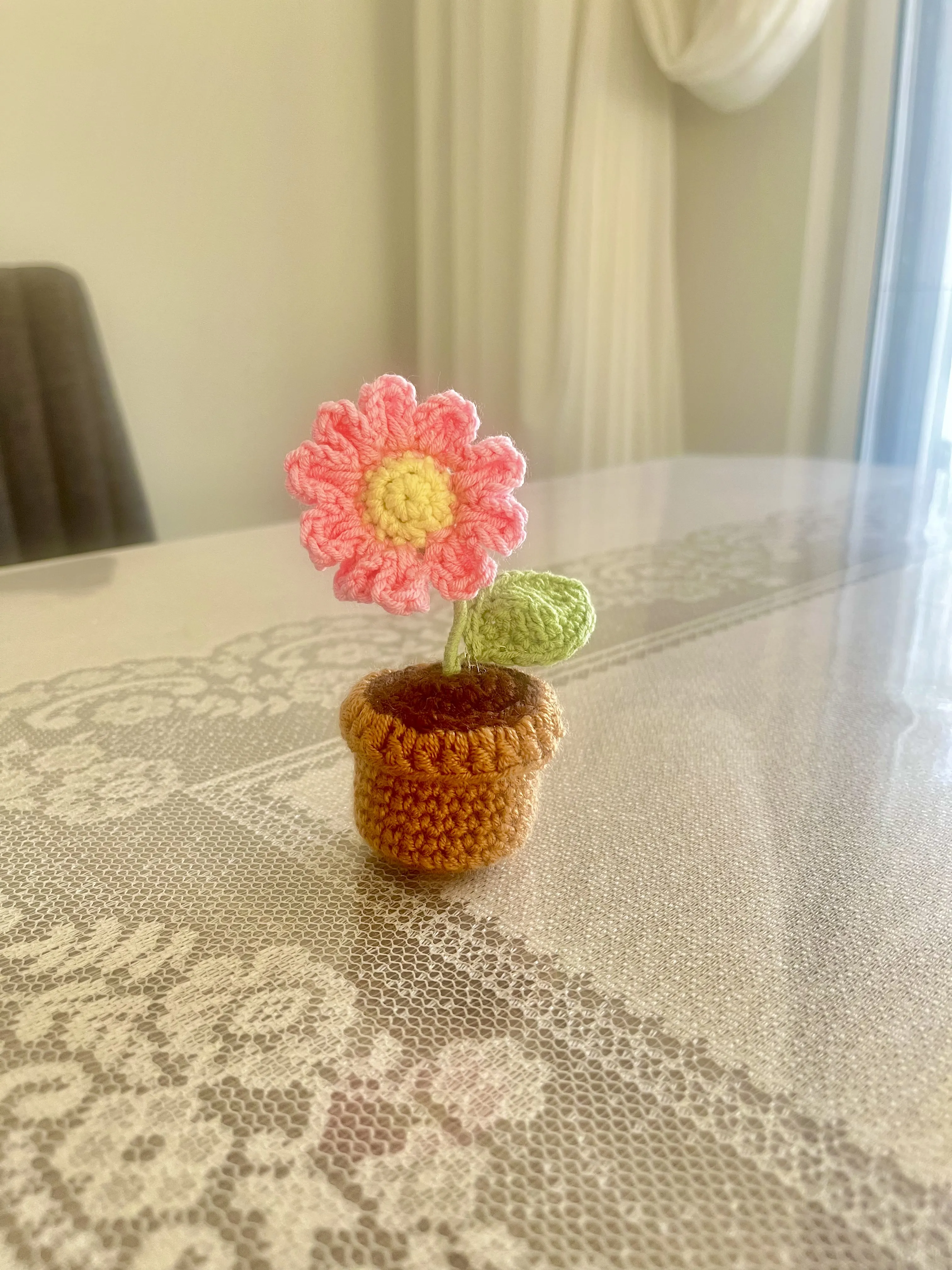 Pembe Miniş Papatya Saksı