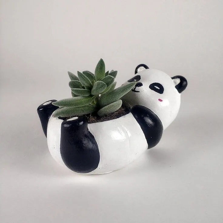 panda saksı, sunumluk