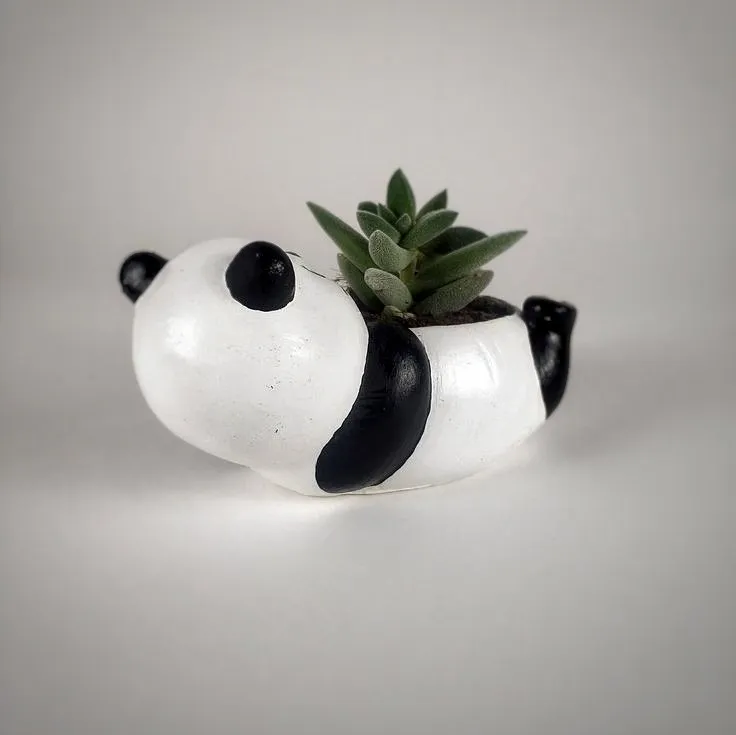 panda saksı, sunumluk