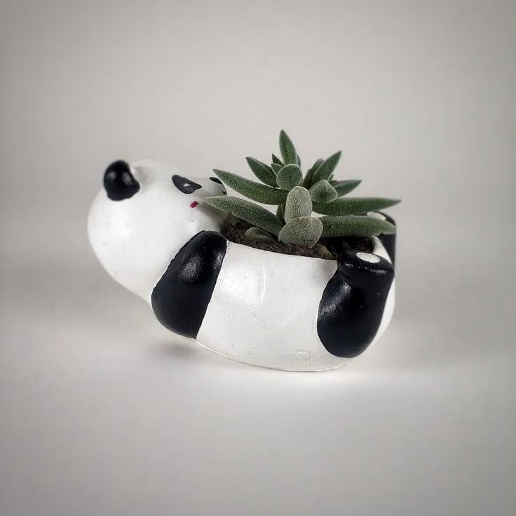 panda saksı, sunumluk